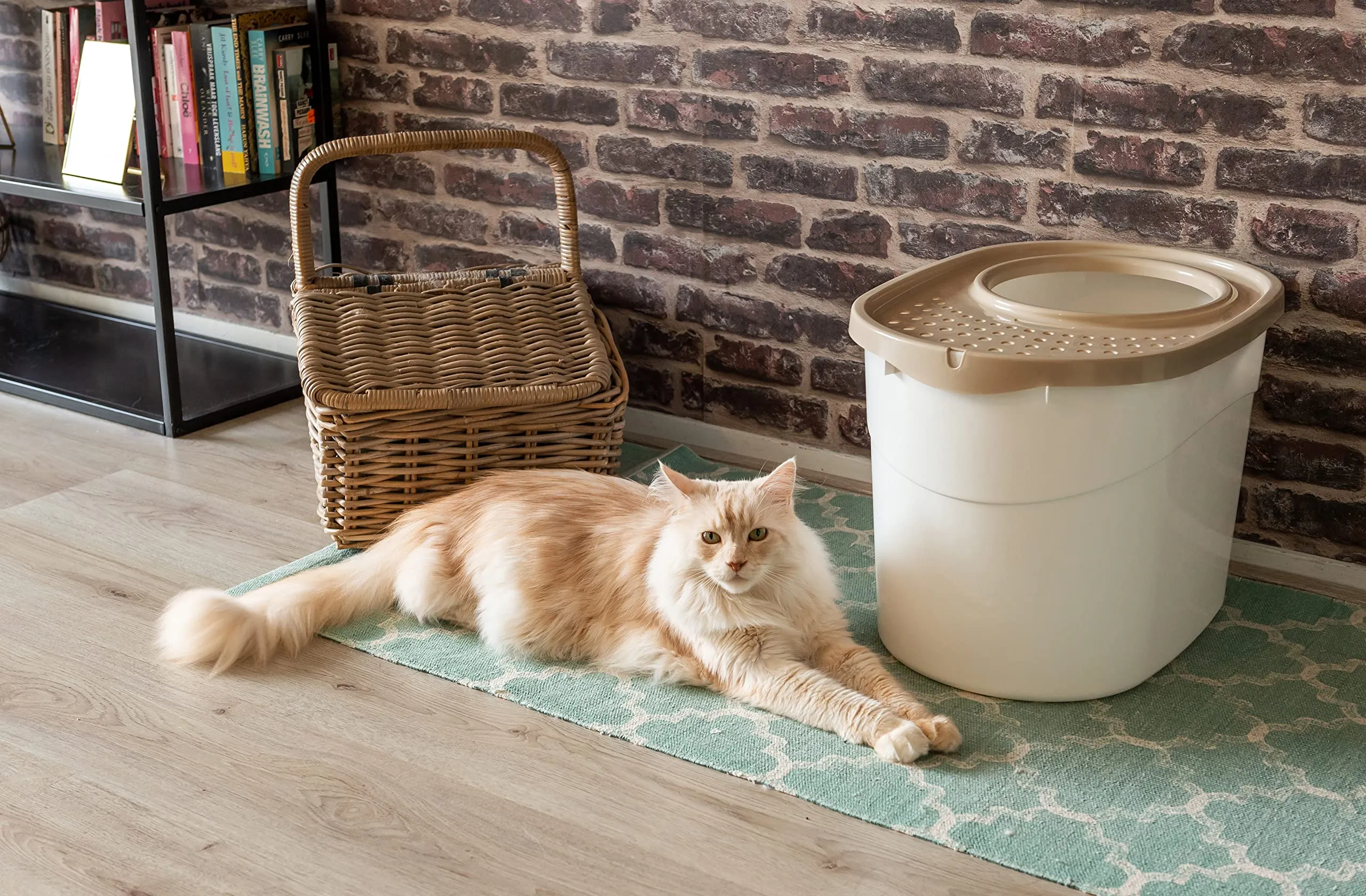 Iris Ohyama Lettiera per Gatti con Ingresso Top e Pala, Beige, TECL-20 - immagine 7