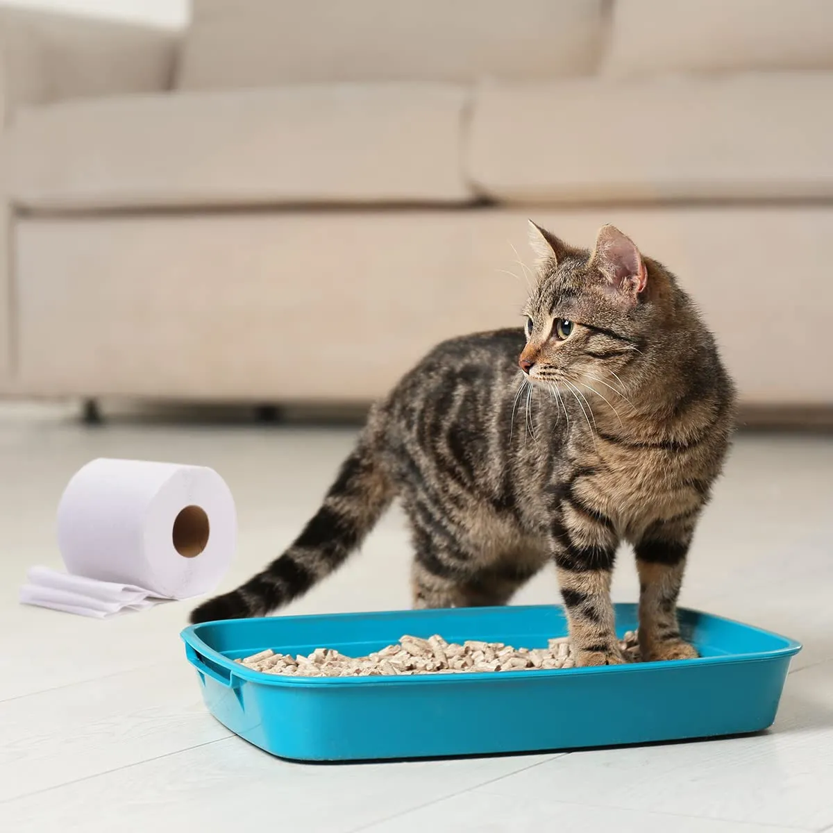 Cat&Rina Catigienica Lettiera per Gatti in Carta, Extra Assorbente, 12l, Confezione da 4 Pezzi - immagine 4