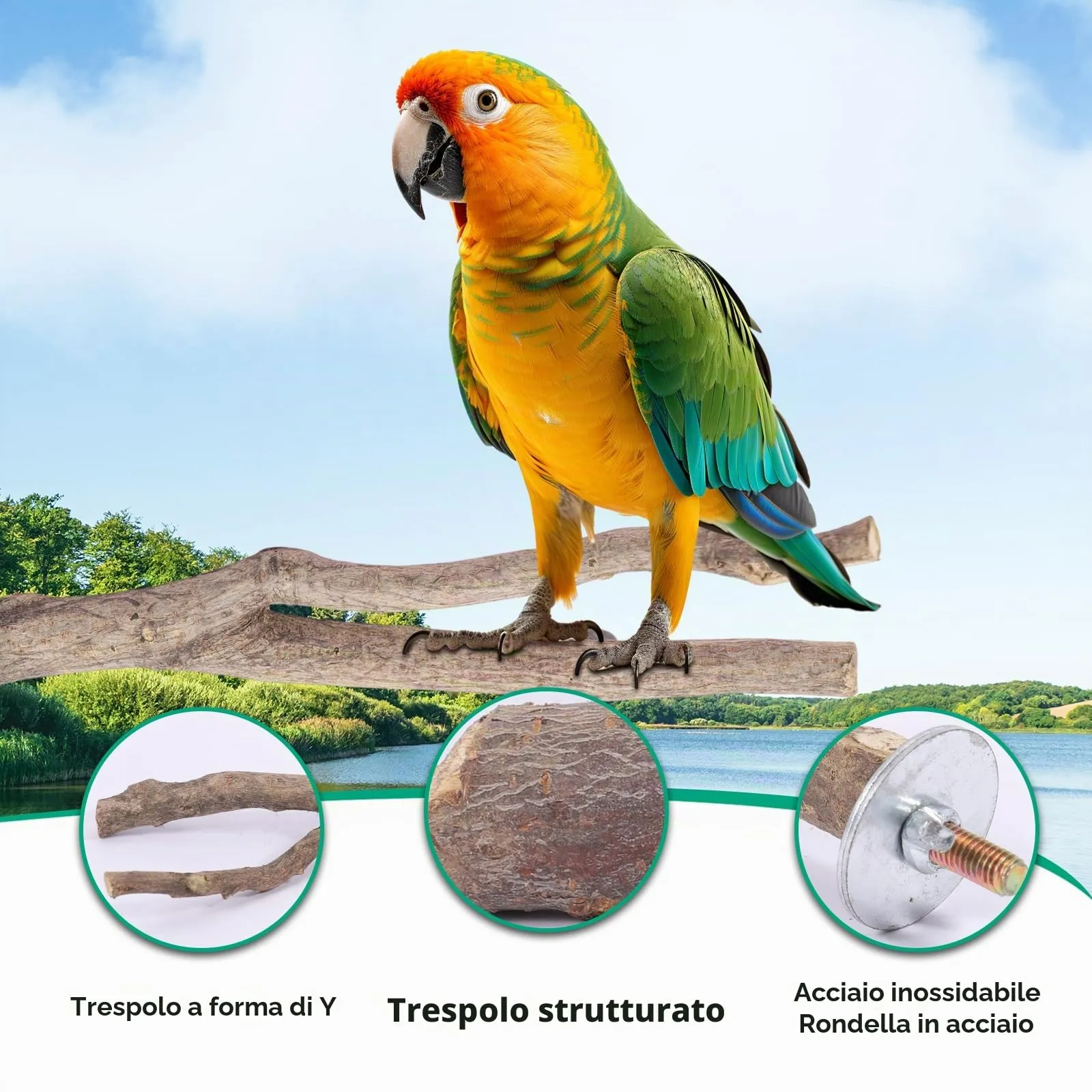 Vexnaro Posatoi per Uccelli in Legno Naturale, Set di 8 Pezzi con Trespoli e Supporti per Pappagalli, Calopsitte, Canarini e Parrocchetti - immagine 3