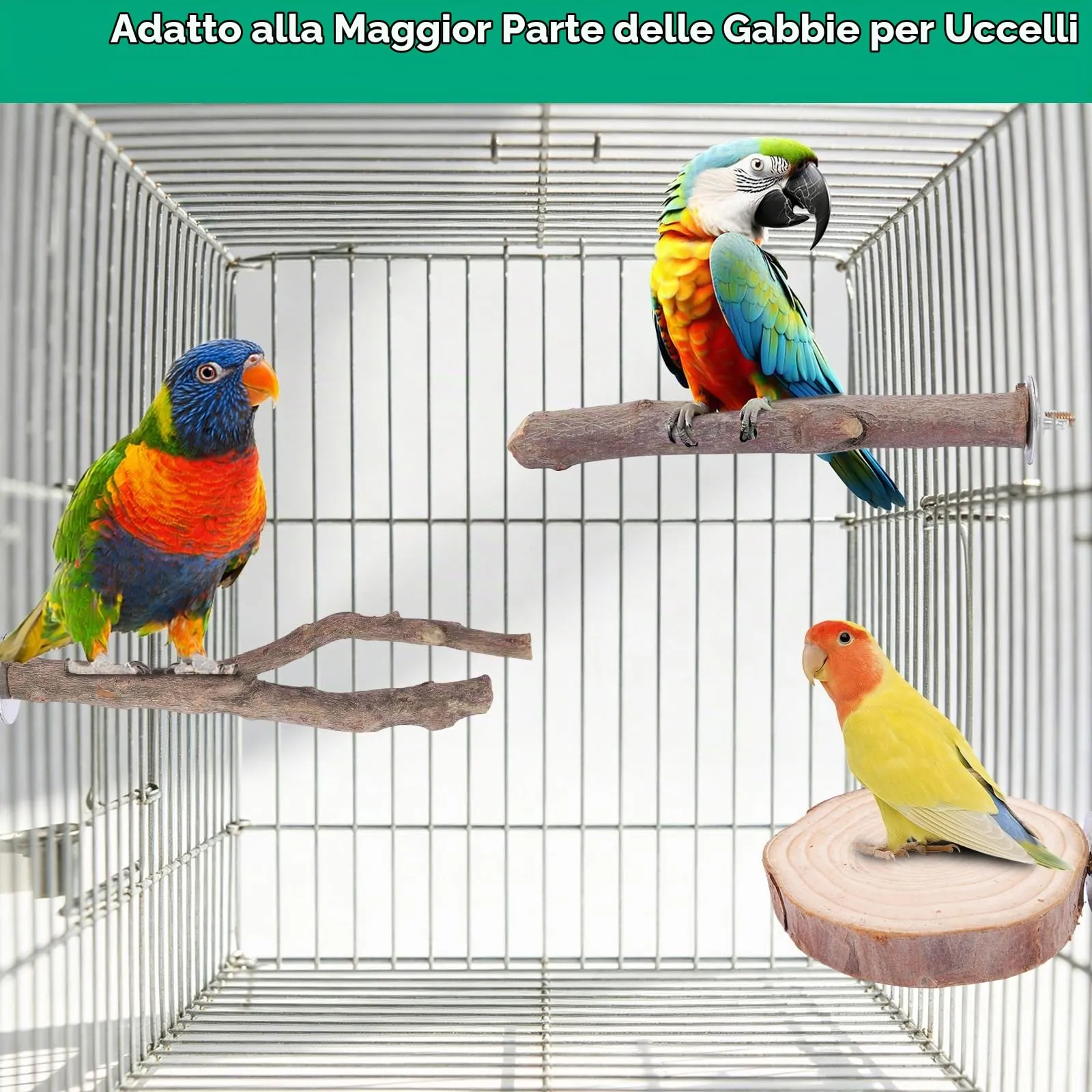 Vexnaro Posatoi per Uccelli in Legno Naturale, Set di 8 Pezzi con Trespoli e Supporti per Pappagalli, Calopsitte, Canarini e Parrocchetti - immagine 7