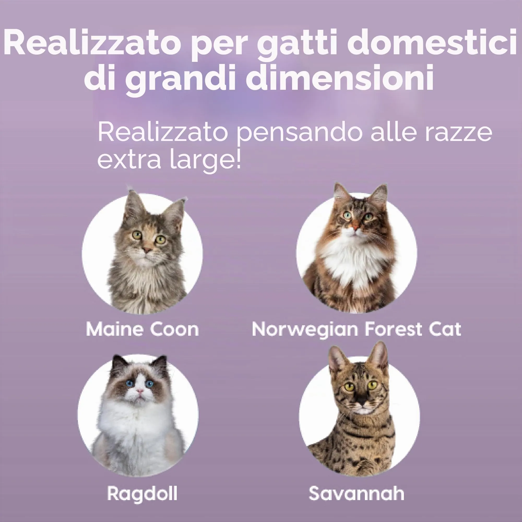 Iris Ohyama Vaschetta per Lettiera per Gatti XL, Bianco, Apertura dall'Alto, PUNT-XL - immagine 5