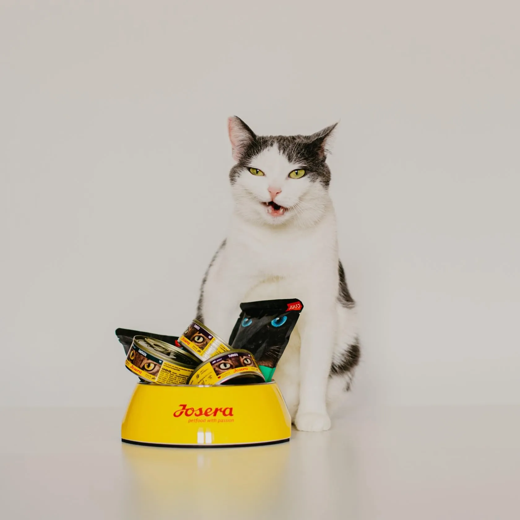 JosiCat Cibo per gatti 10 kg - immagine 7