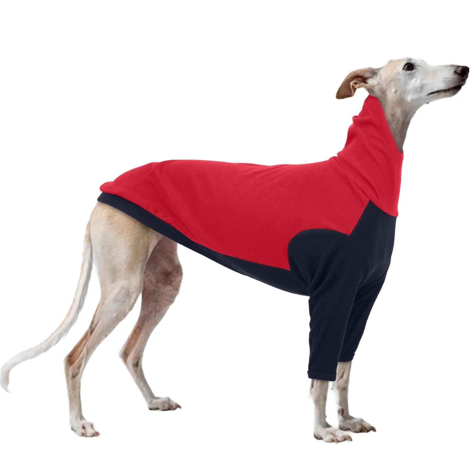 PUMYPOREITY Camicia in pile per Levriero Italiano, Rosso, S - immagine 1
