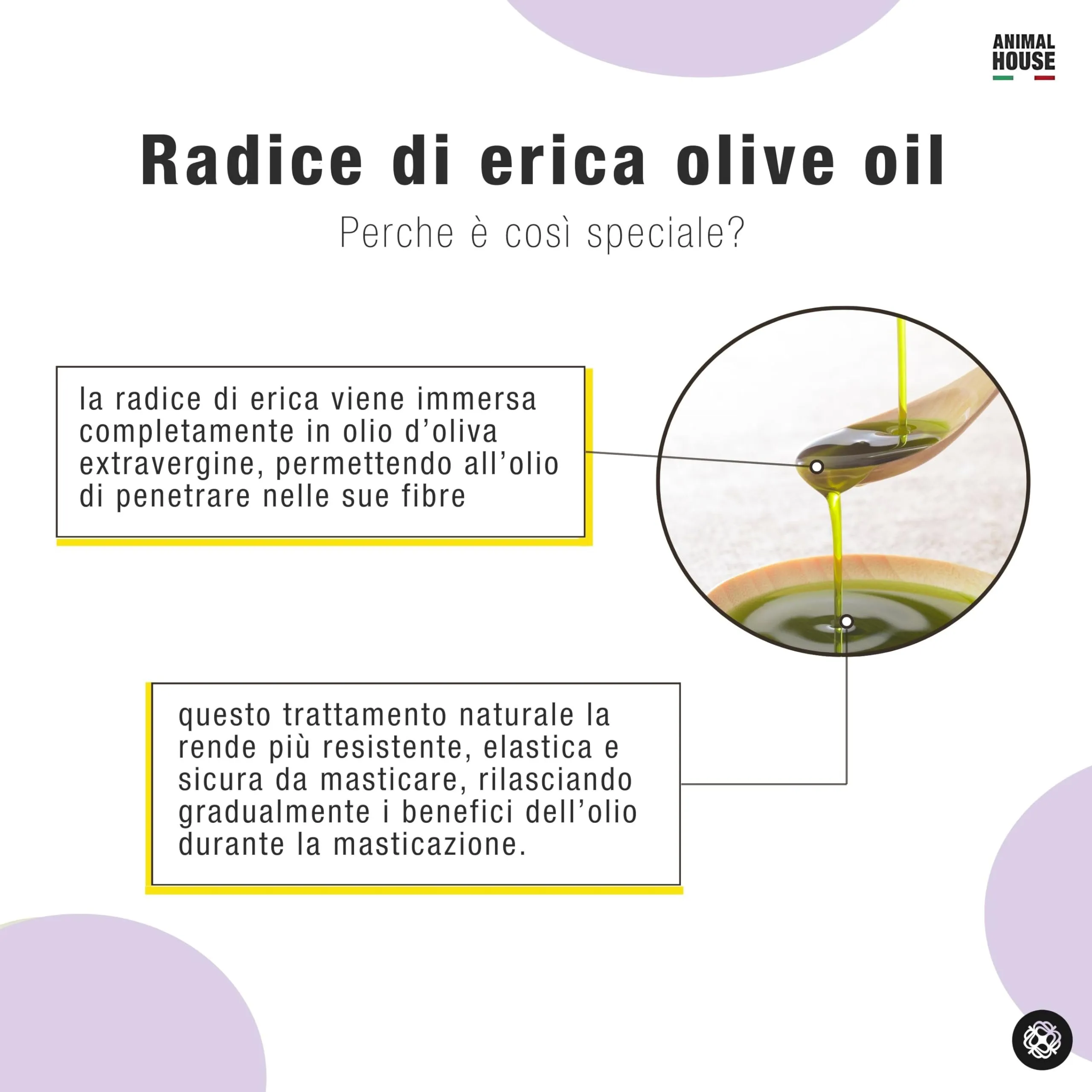 Animal House Radice di Erica per Cani imbevuta in Olio d'Oliva, M (Masticativo Naturale) - immagine 2