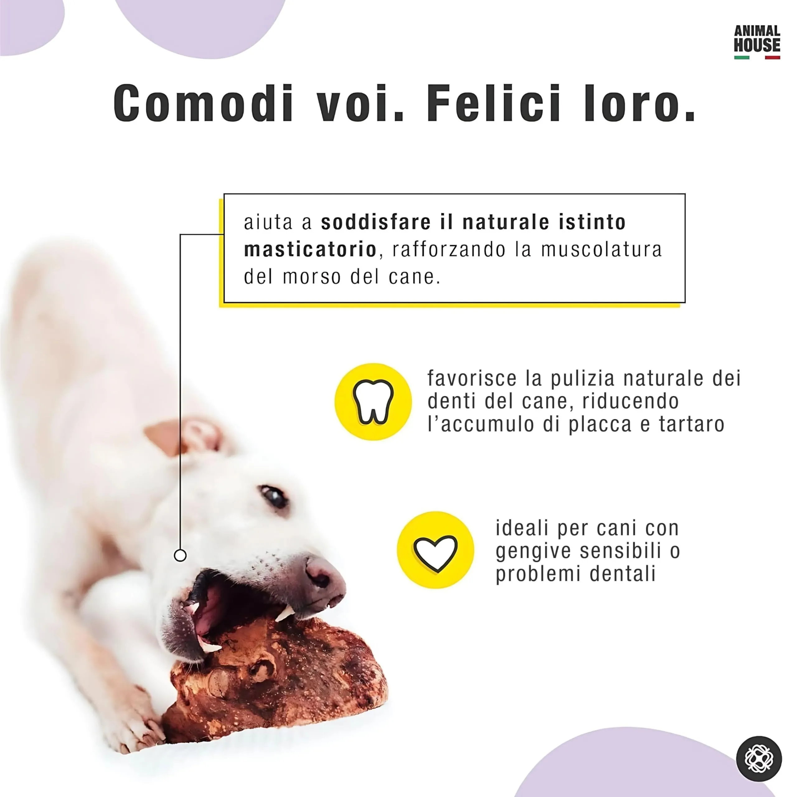 Animal House Radice di Erica per Cani con Olio d'Oliva, XL - immagine 6