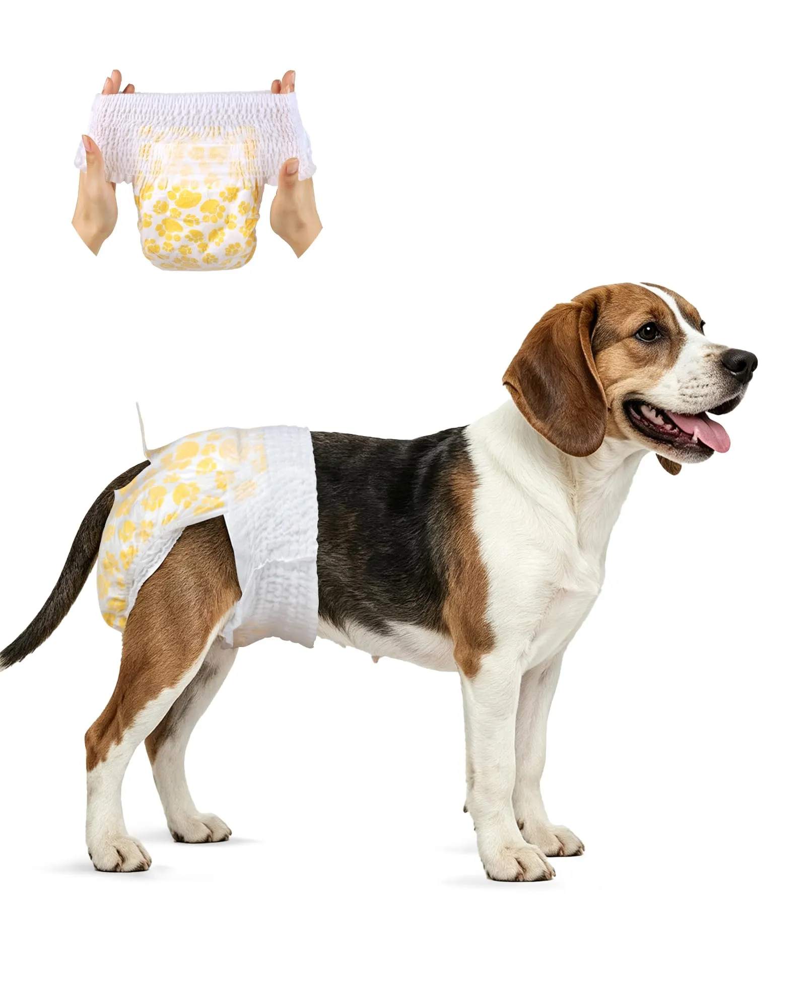 Flying Paws Pannolini per Cane Usa e Getta Femmina con Elastico in Vita, L-30 - immagine 1