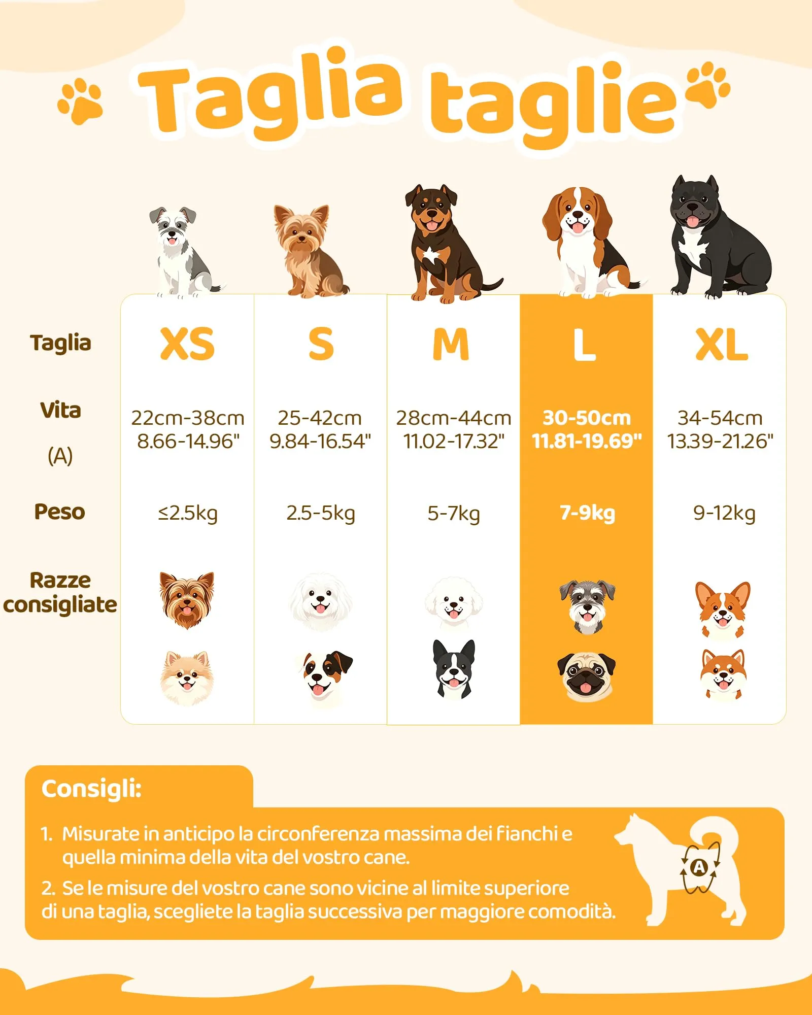 Flying Paws Pannolini per Cane Usa e Getta Femmina con Elastico in Vita, L-30 - immagine 6