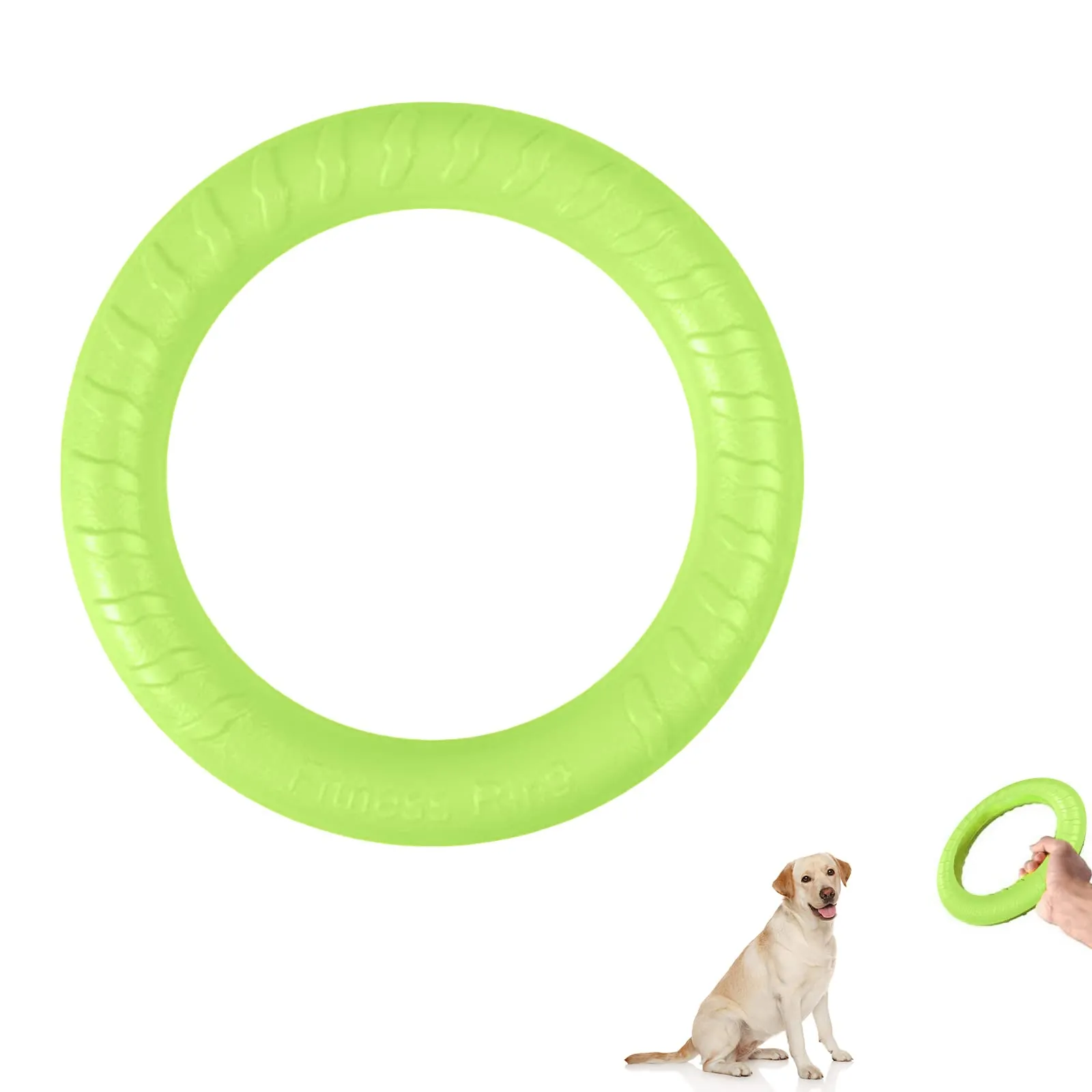 QEEROYO Anello per Morso e Frisbee Galleggiante per Cani, Verde - immagine 1
