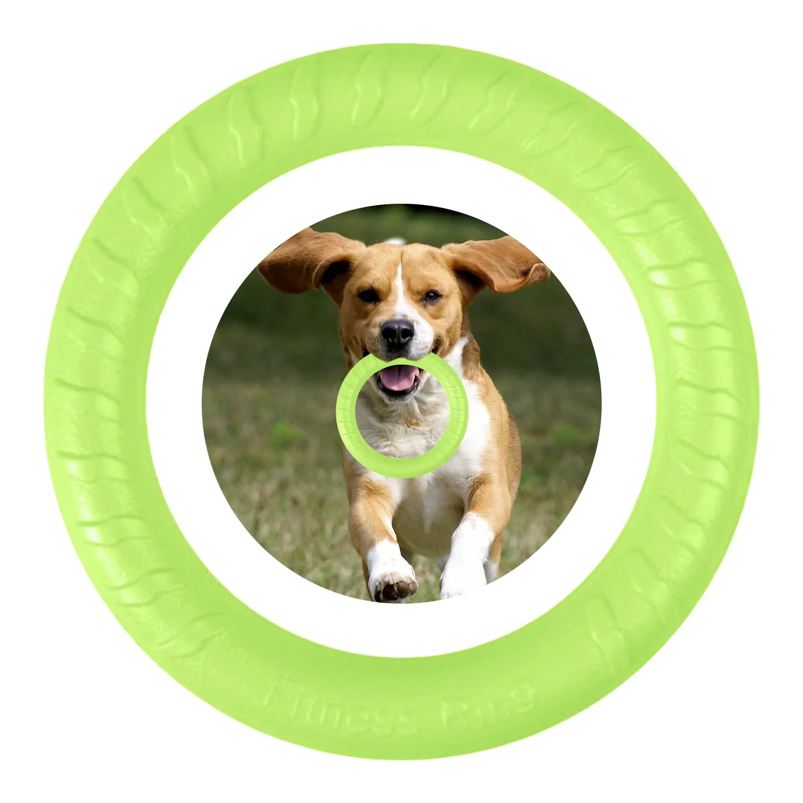 QEEROYO Anello per Morso e Frisbee Galleggiante per Cani, Verde - immagine 4