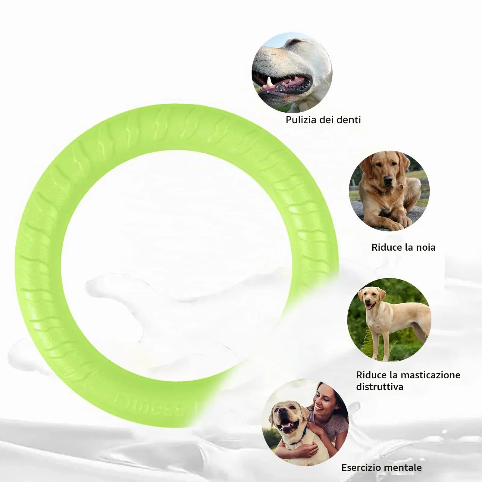QEEROYO Anello per Morso e Frisbee Galleggiante per Cani, Verde - immagine 5