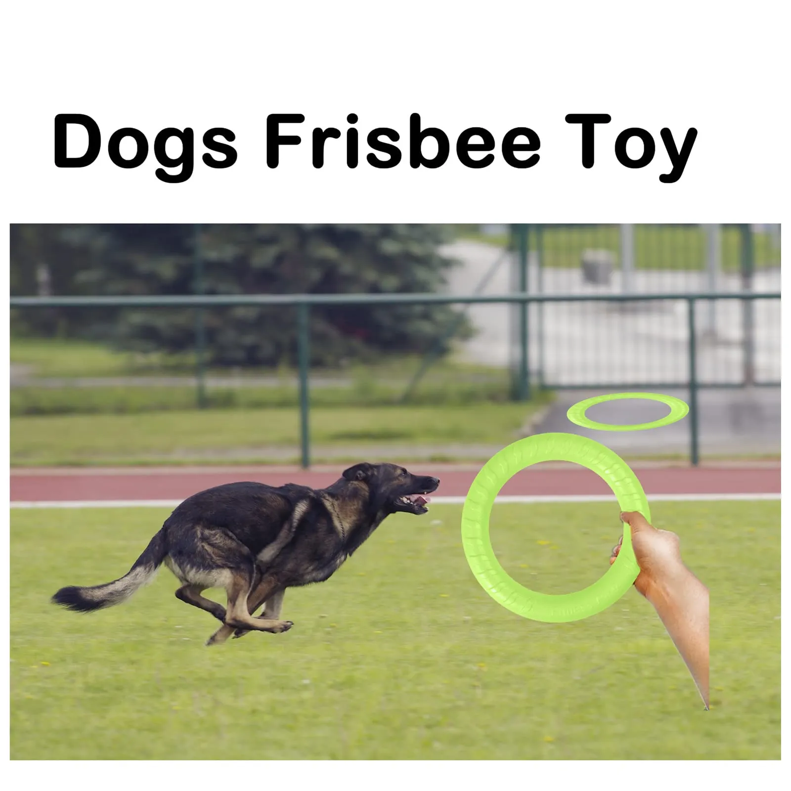 QEEROYO Anello per Morso e Frisbee Galleggiante per Cani, Verde - immagine 7