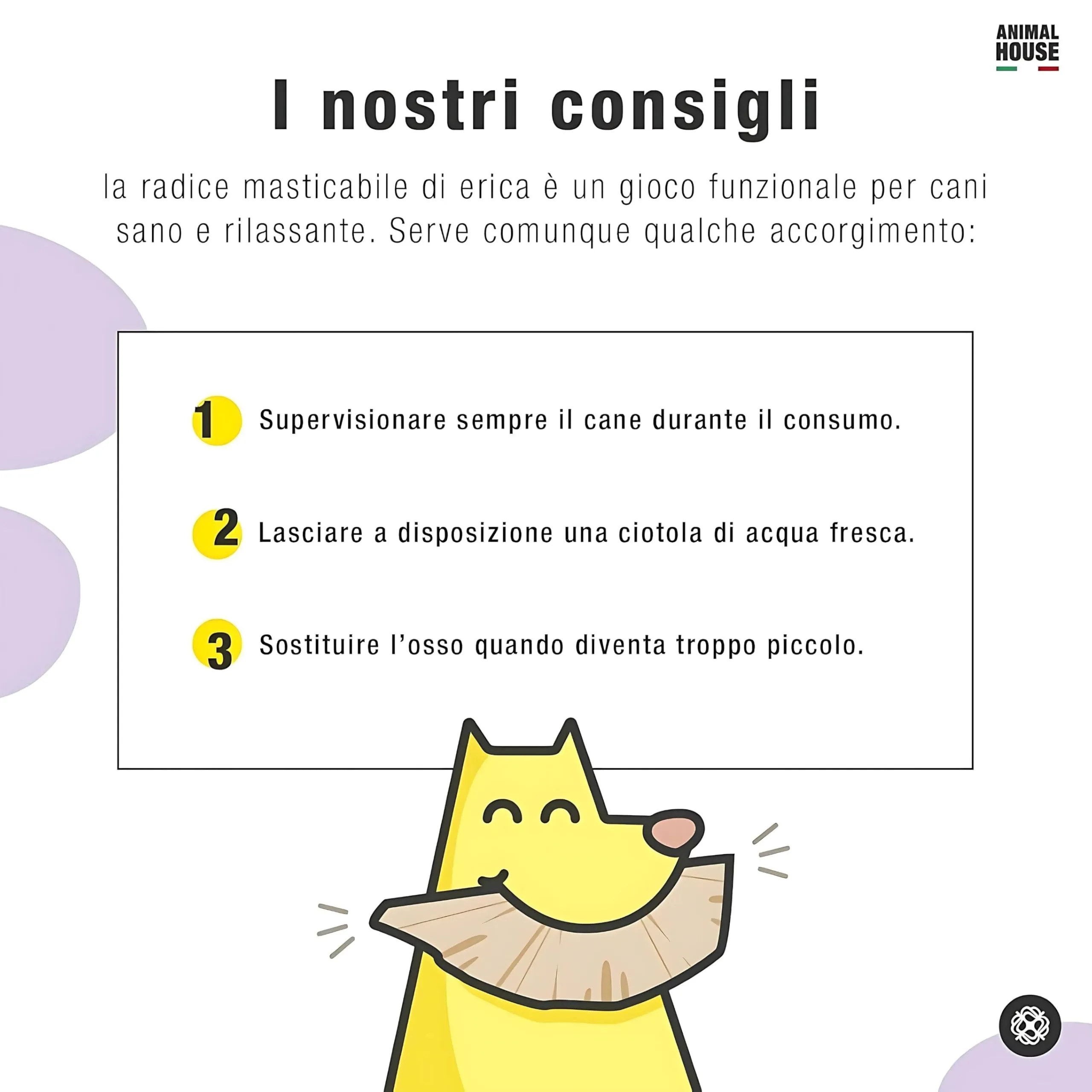 Animal House Radice di Erica per Cani, XS - immagine 5