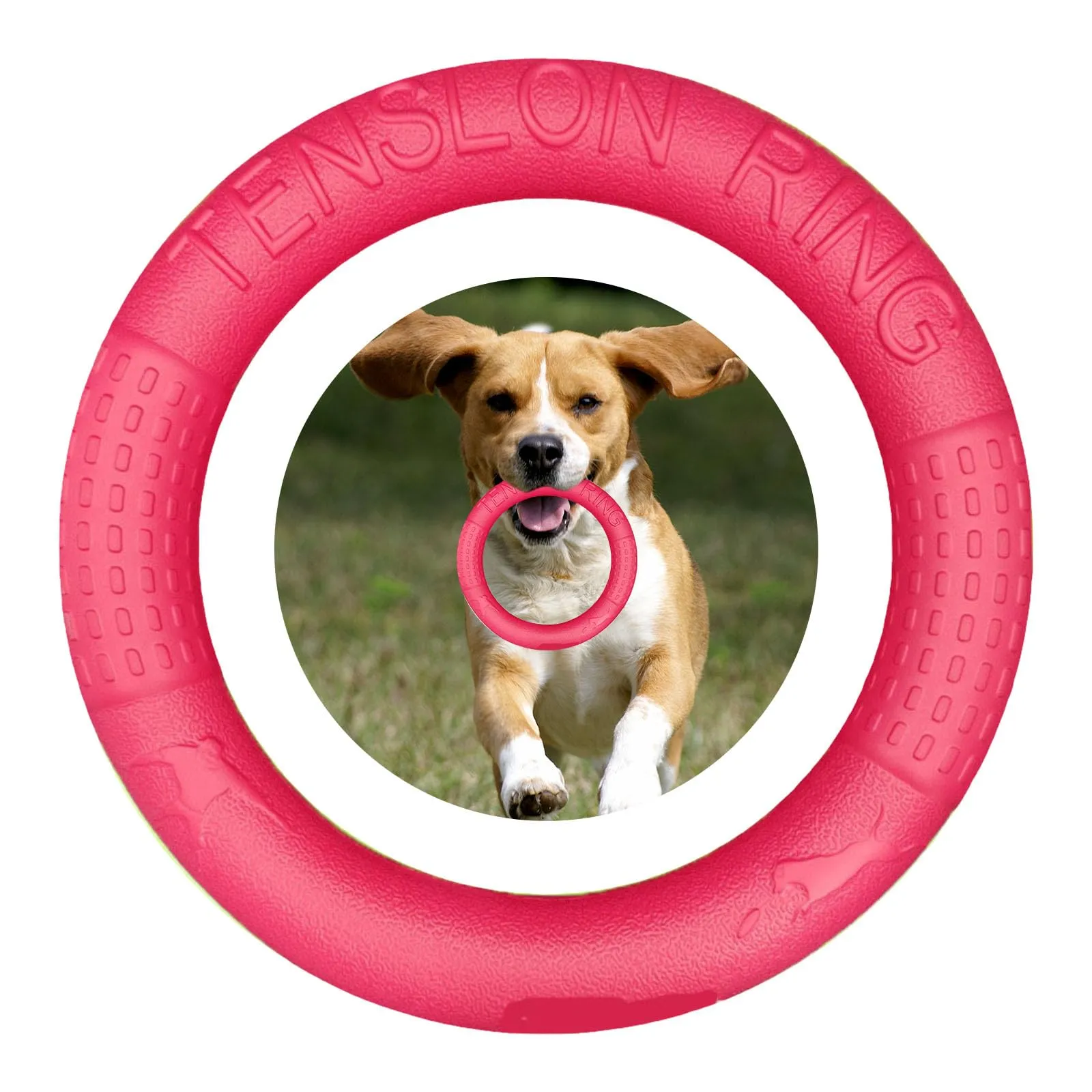 QEEROYO Anello per Morso e Frisbee Interattivo per Cani, 17.5 cm - immagine 3