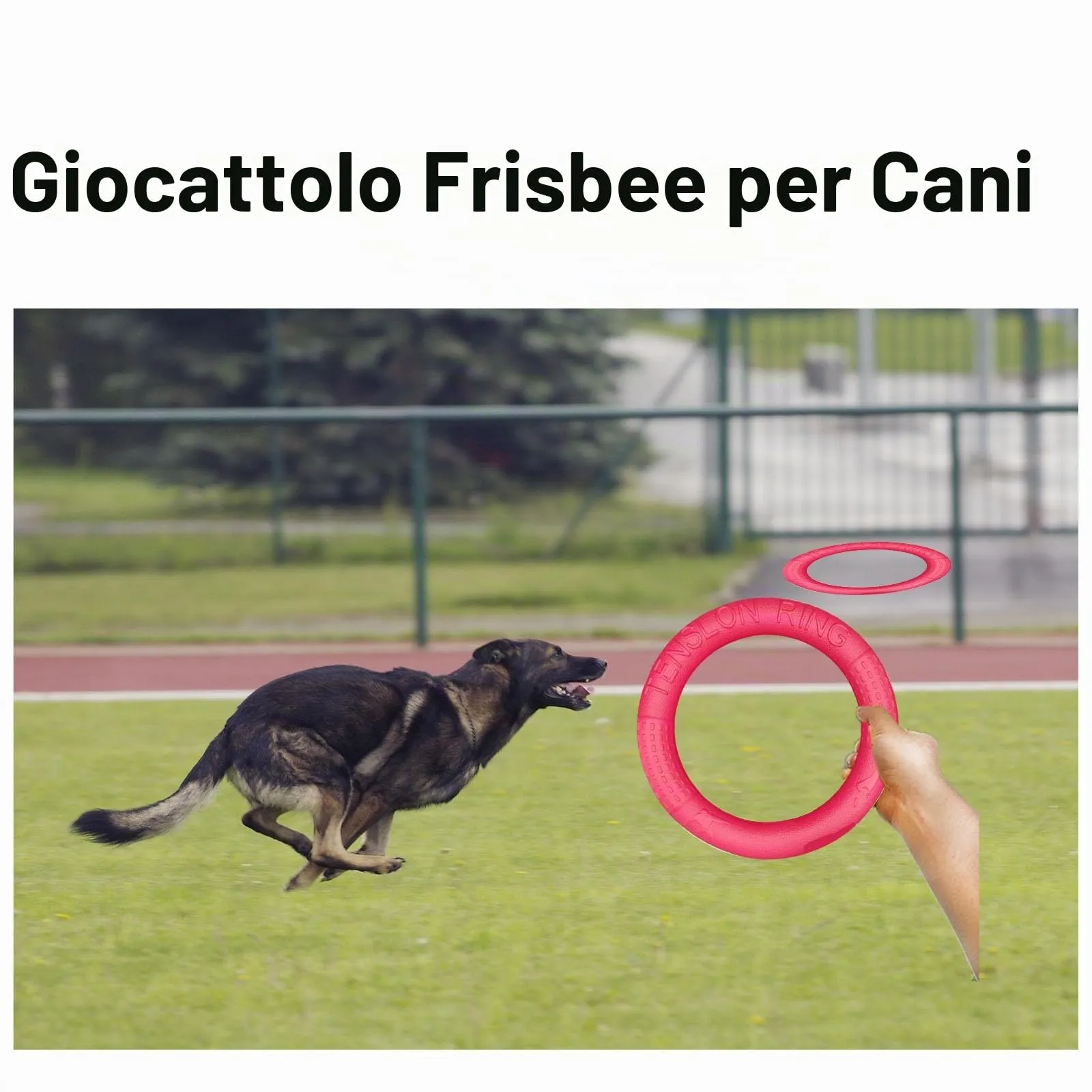 QEEROYO Anello per Morso e Frisbee Interattivo per Cani, 17.5 cm - immagine 7