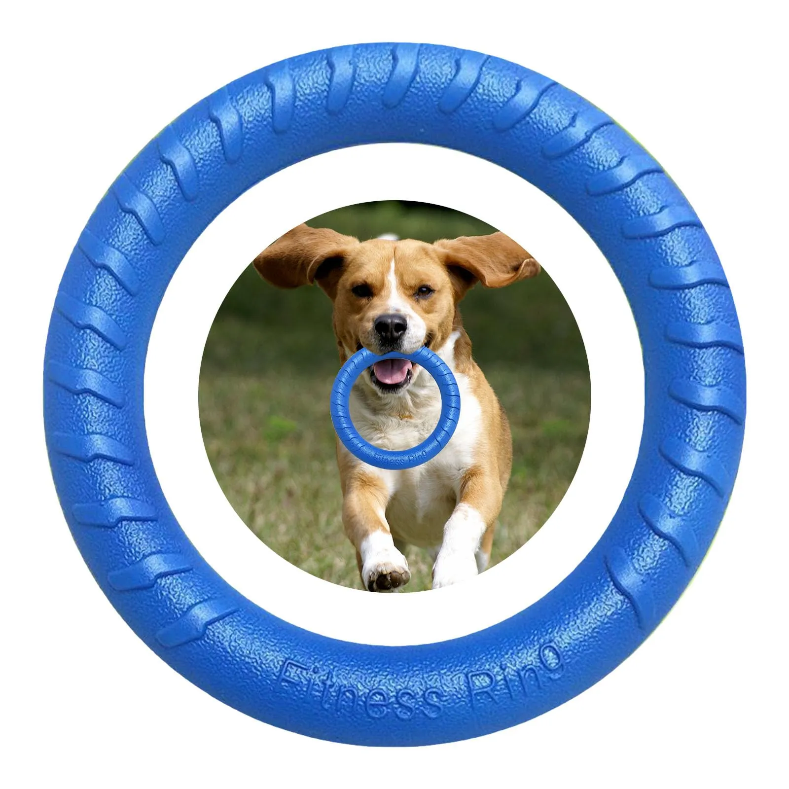 QEEROYO Anello per Morso e Frisbee Interattivo per Cani, 19.5 cm, Blu - immagine 4