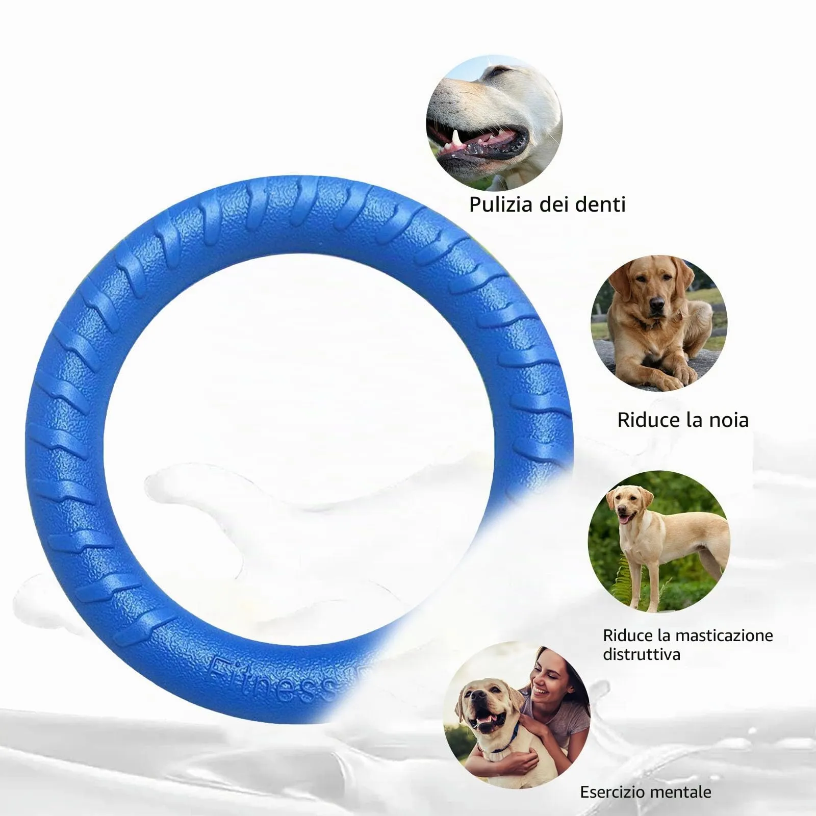 QEEROYO Anello per Morso e Frisbee Interattivo per Cani, 19.5 cm, Blu - immagine 5