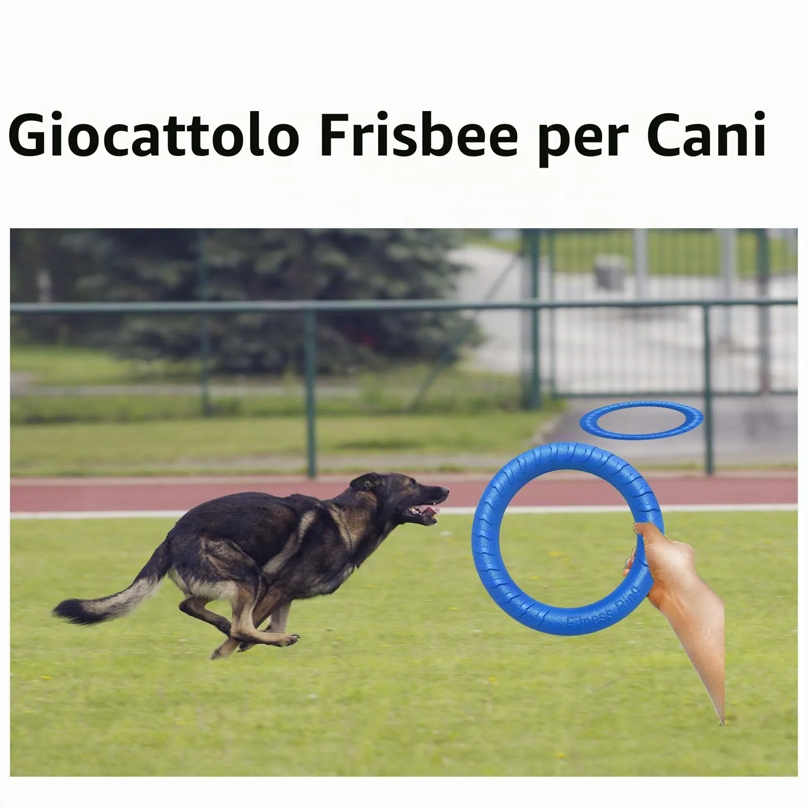 QEEROYO Anello per Morso e Frisbee Interattivo per Cani, 19.5 cm, Blu - immagine 7