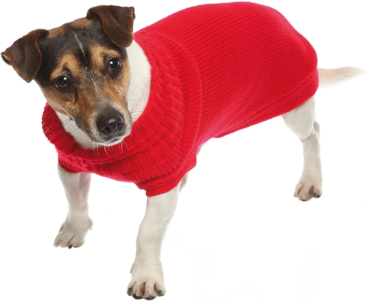 Croci Siviglia Maglioncino Dolcevita per Cani, Rosso, 80 cm - immagine 3