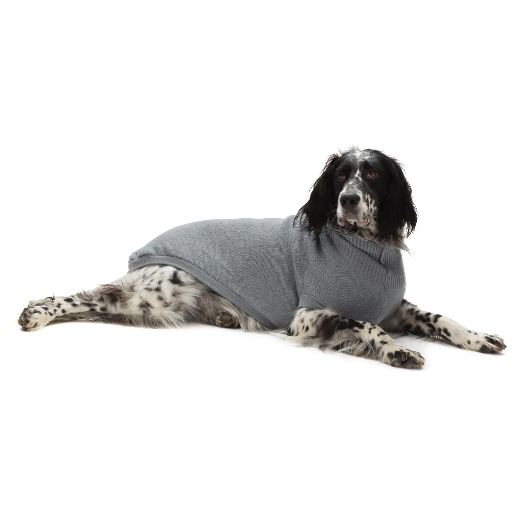 Croci Moscow Maglioncino Dolcevita per Cani, Grigio, 55 cm - immagine 2