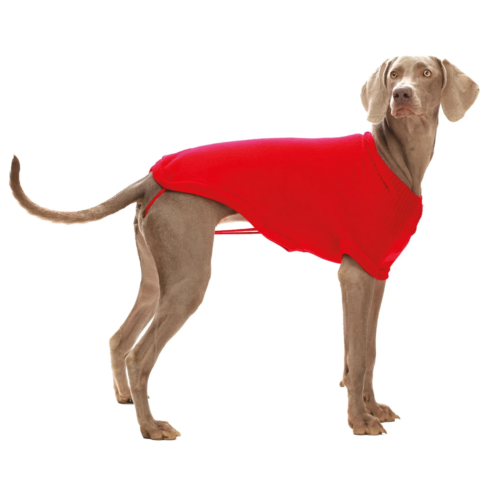 Croci Siviglia Maglioncino Dolcevita per Cani, Rosso, 65 cm - immagine 1