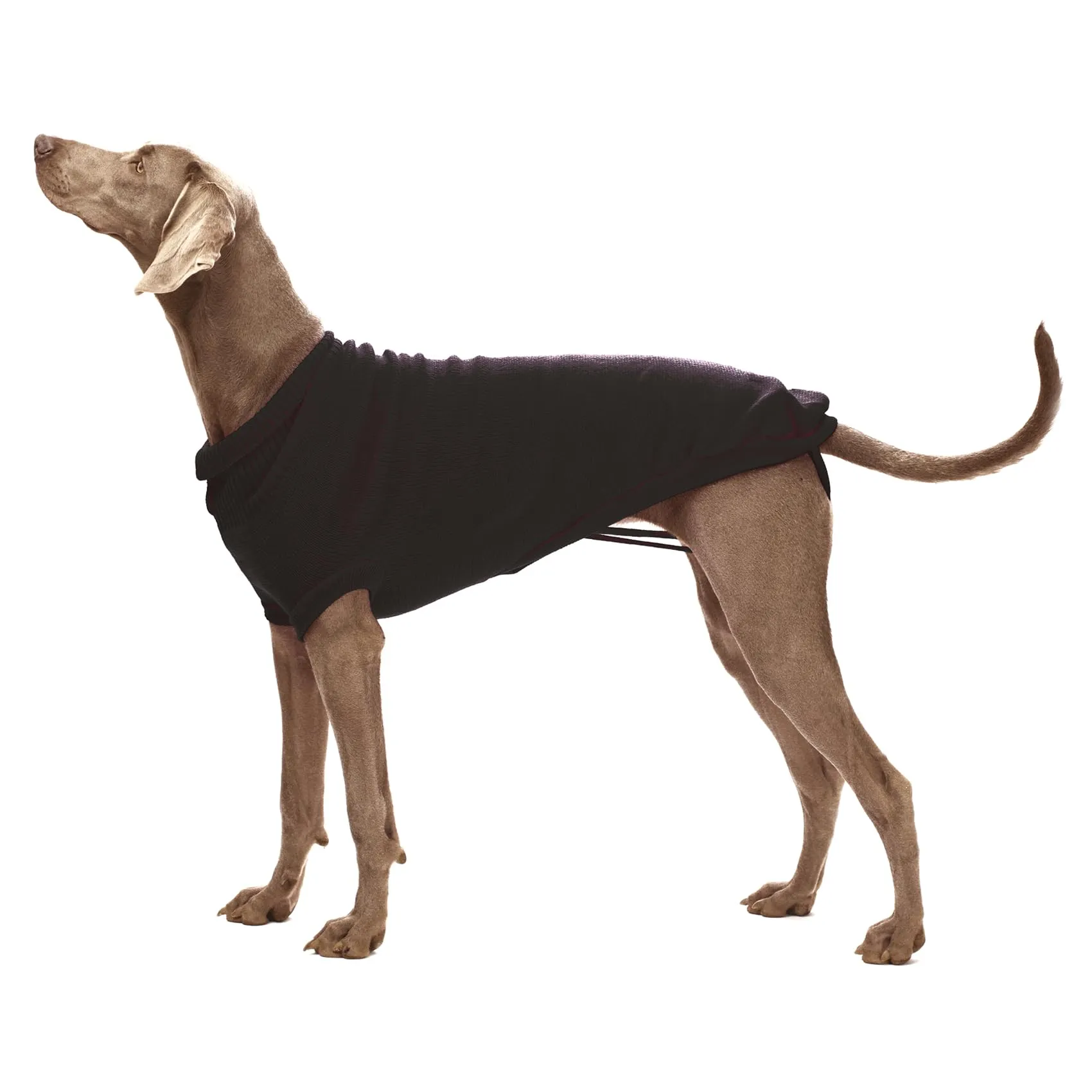 Croci Stoccolma Maglioncino Dolcevita per Cani, Nero, 80 cm - immagine 5