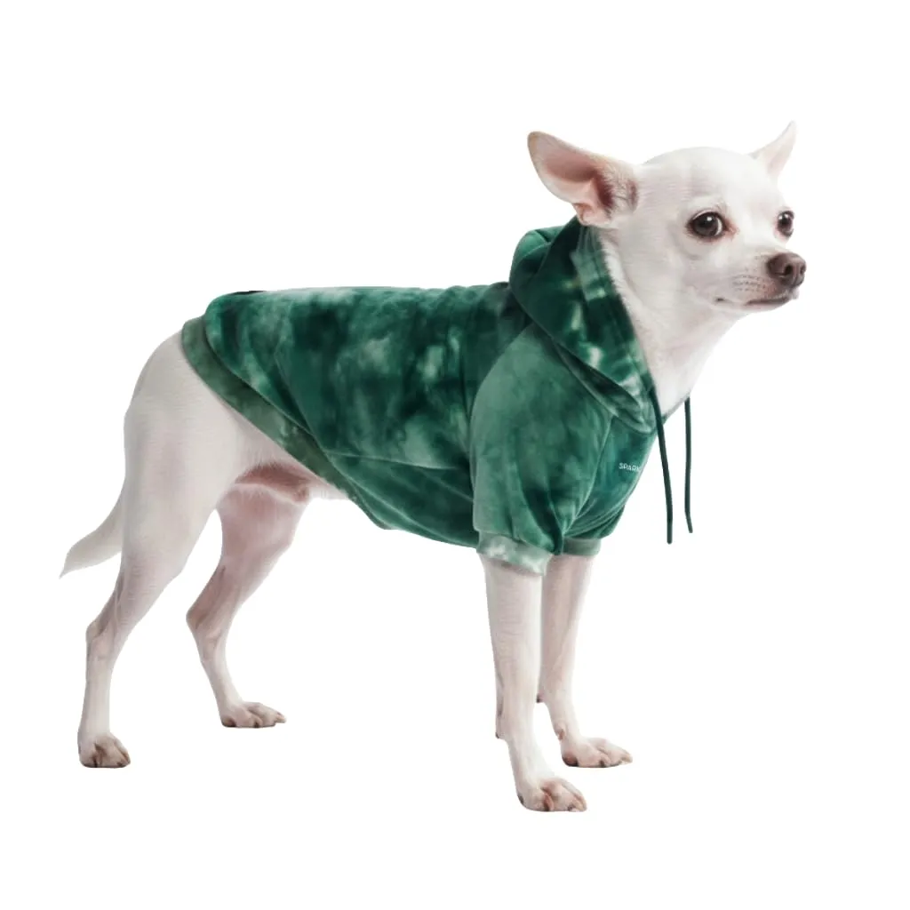 Spark Paws Felpa con Cappuccio per Cani, Tinta Unita, Skydye Verde - immagine 1