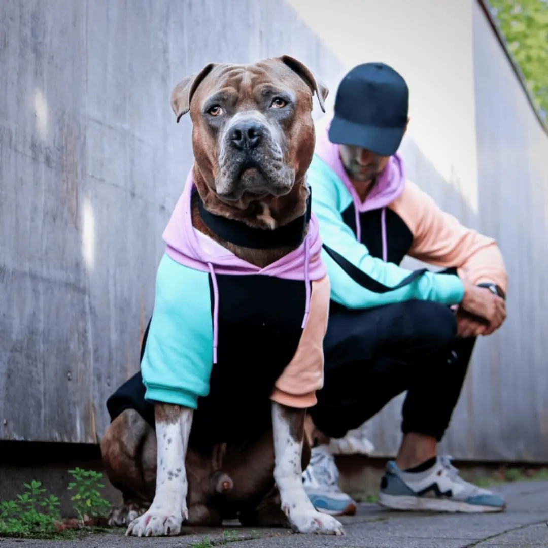 Spark Paws Felpa con Cappuccio per Cani, Cyber Punk, 4XL - immagine 3