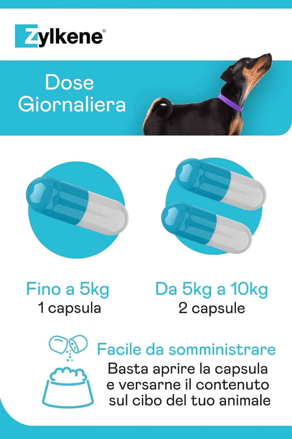 Vetoquinol Zylkene Mangime Complementare per Gatti e Cani fino a 10 kg, 75 mg, 100 capsule - immagine 4