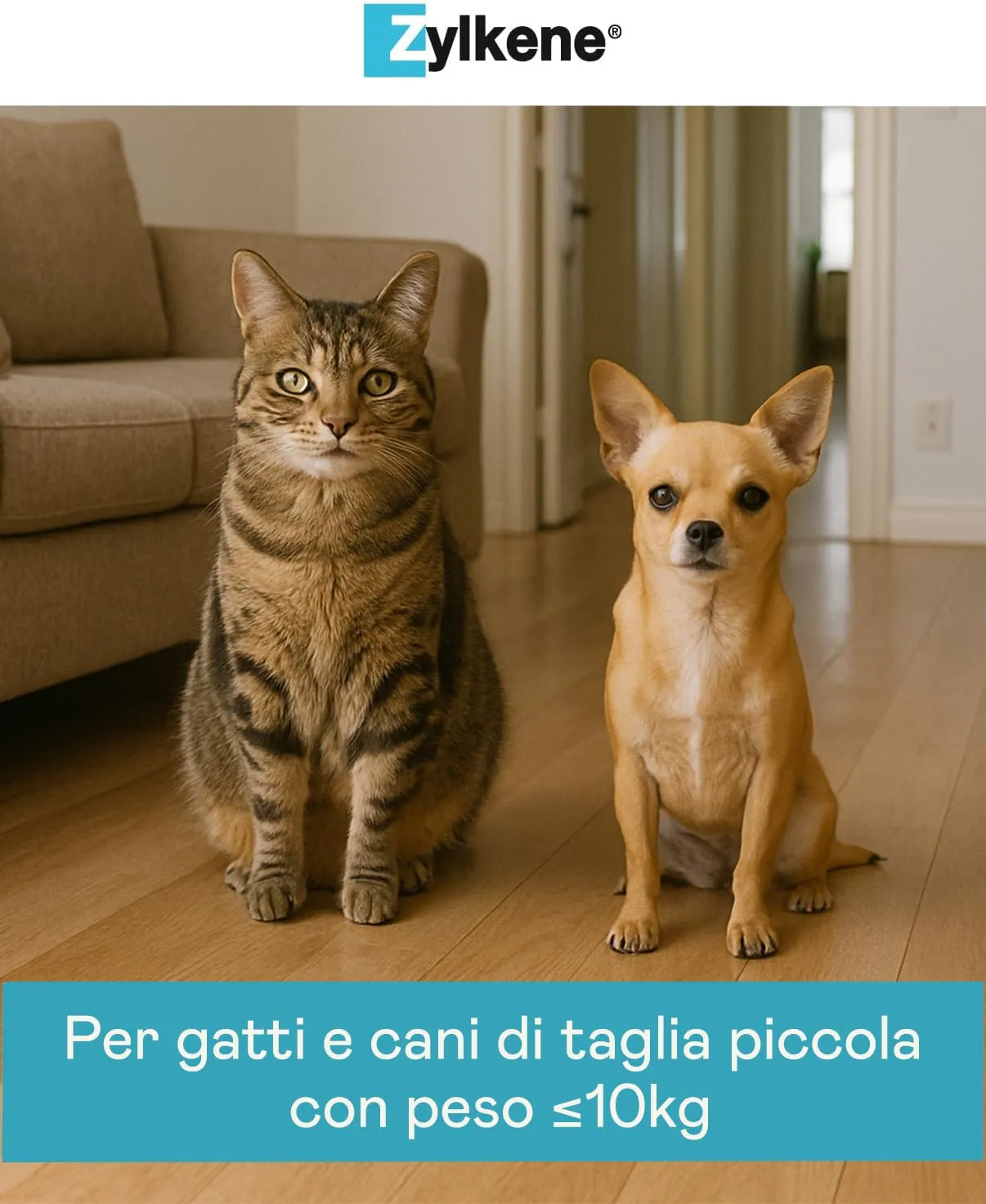 Vetoquinol Zylkene Mangime Complementare per Gatti e Cani fino a 10 kg, 75 mg, 100 capsule - immagine 5