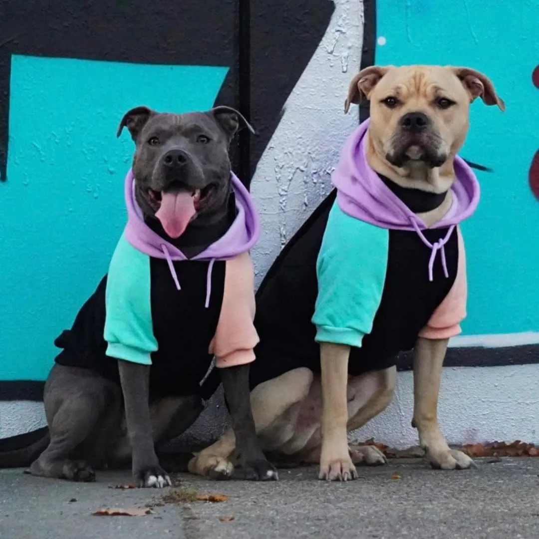 Spark Paws Felpa con Cappuccio per Cani, Quadri scozzesi, Cyber Punk, Large - immagine 5