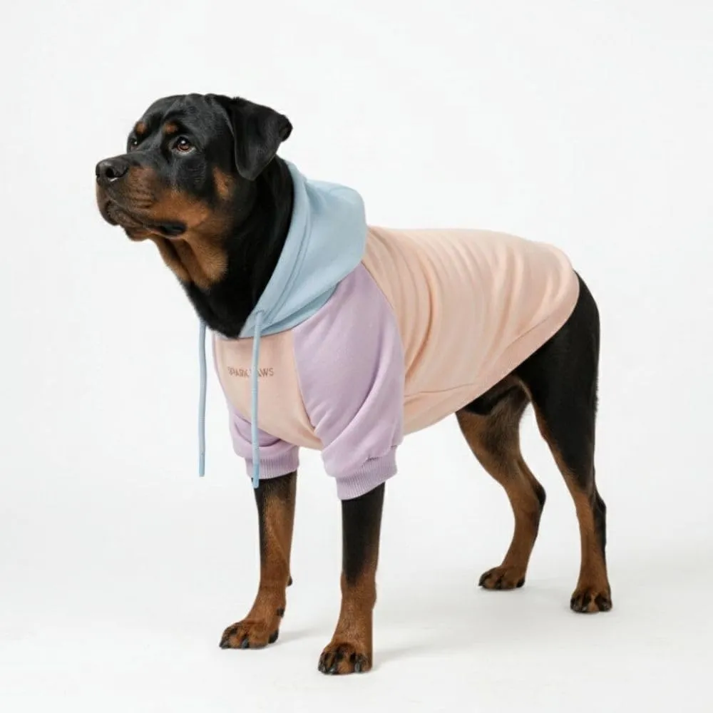 Spark Paws Felpa con Cappuccio per Cani, Cotone Zucchero, 4XL - immagine 1