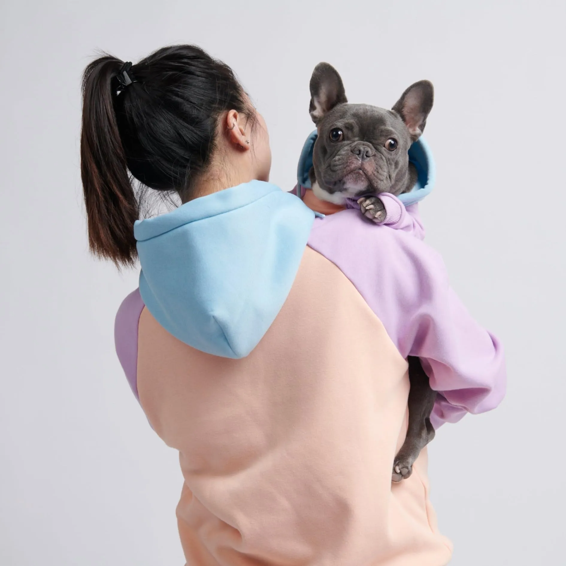 Spark Paws Felpa con Cappuccio per Cani, Cotone Zucchero, 4XL - immagine 5