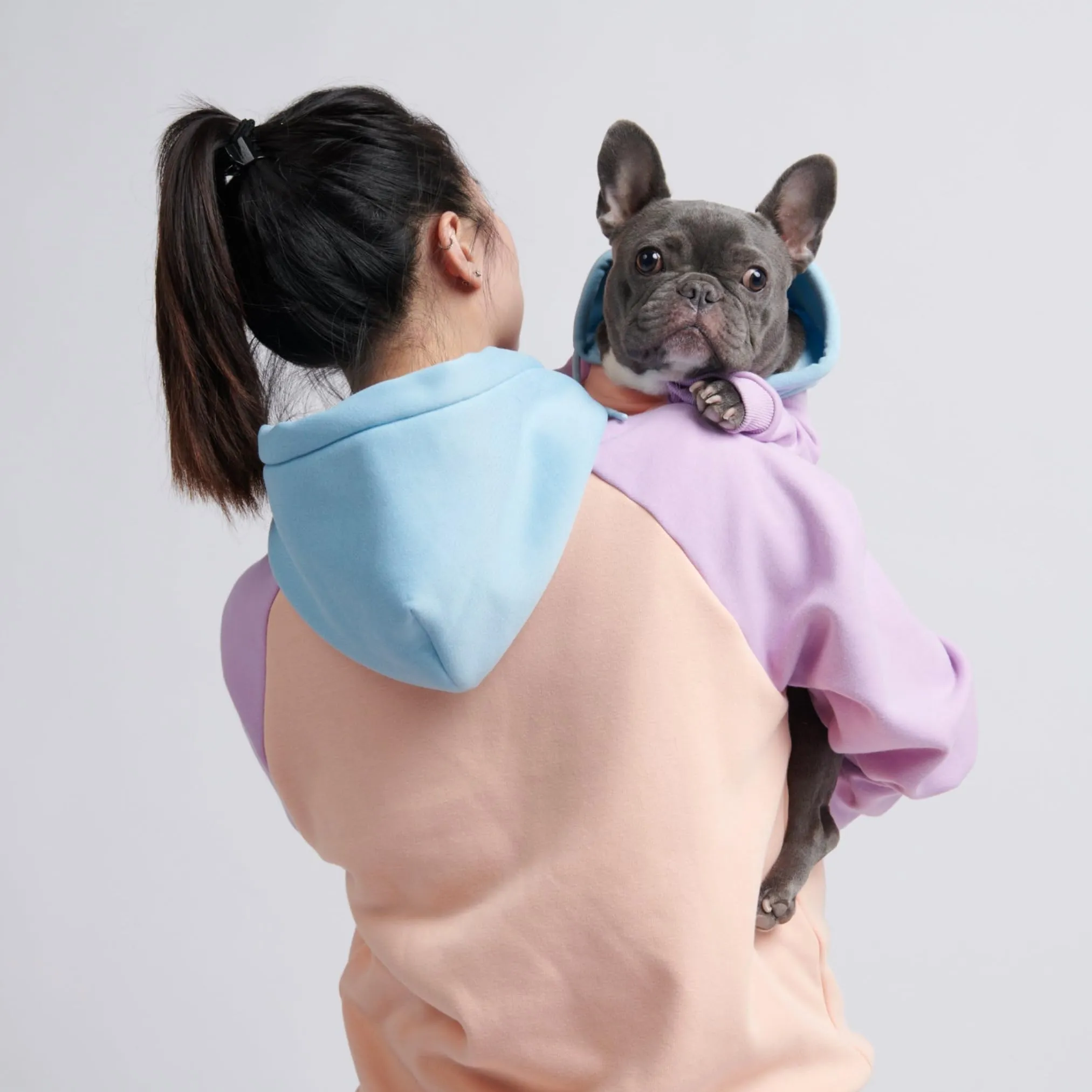 Spark Paws Felpa con Cappuccio per Cani, Cotone Zucchero, 4XL - immagine 6