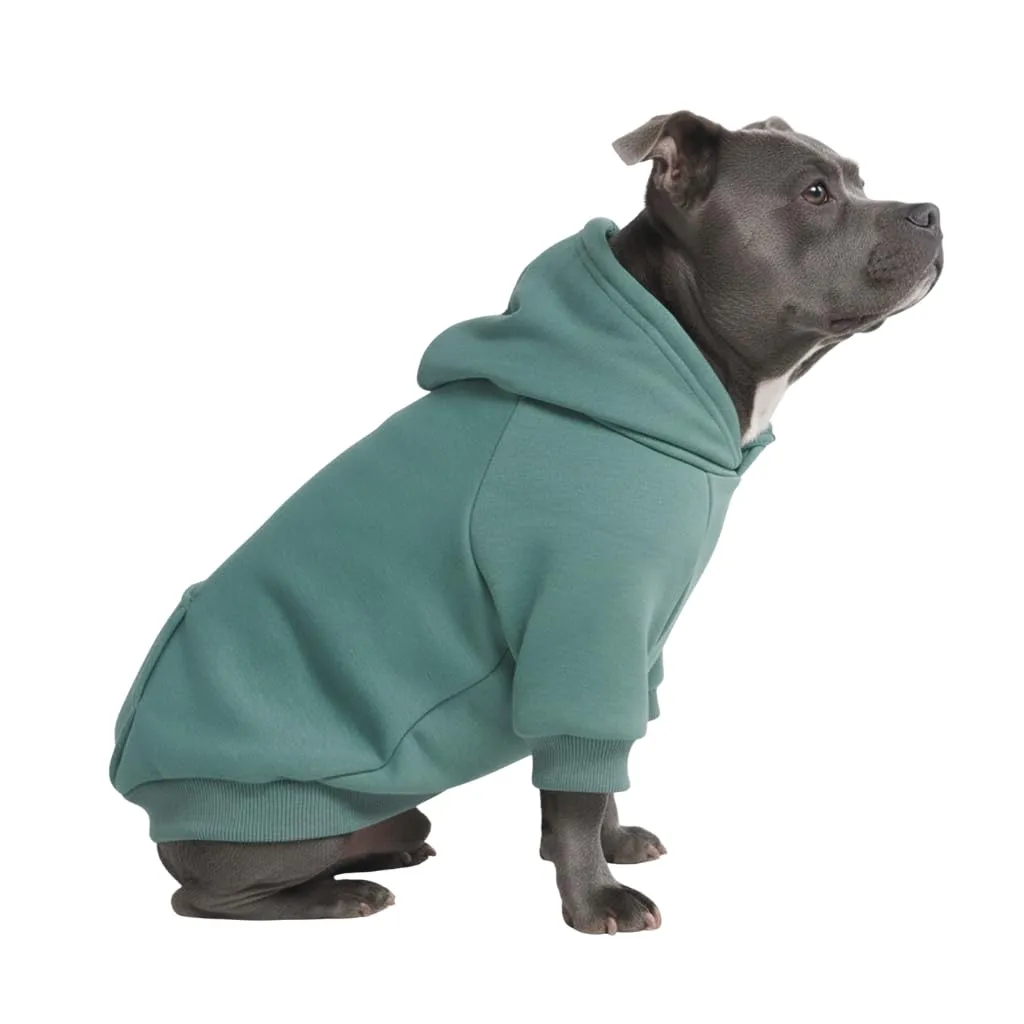 Spark Paws Felpa con cappuccio per cani di taglia grande, Tinta unita, Verde acqua, 3XL - immagine 1