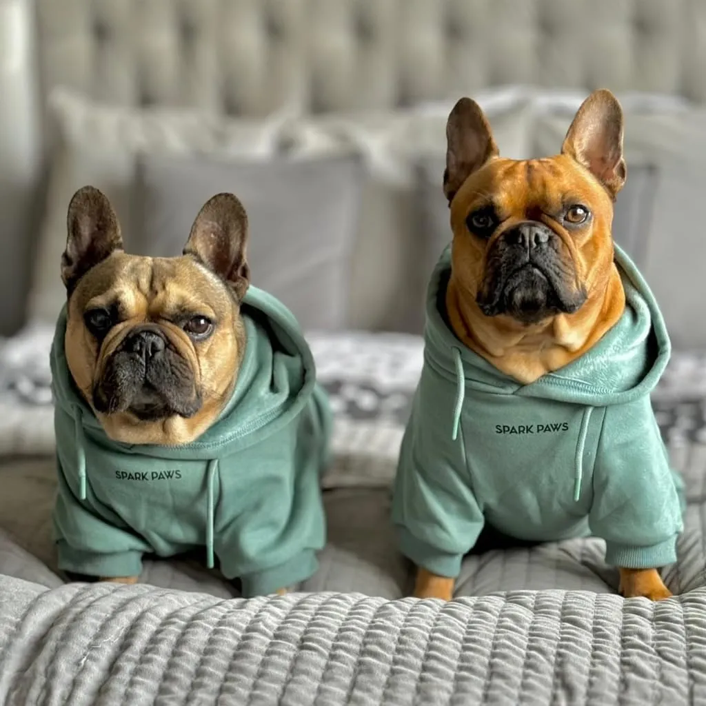Spark Paws Felpa con cappuccio per cani di taglia grande, Tinta unita, Verde acqua, 3XL - immagine 3