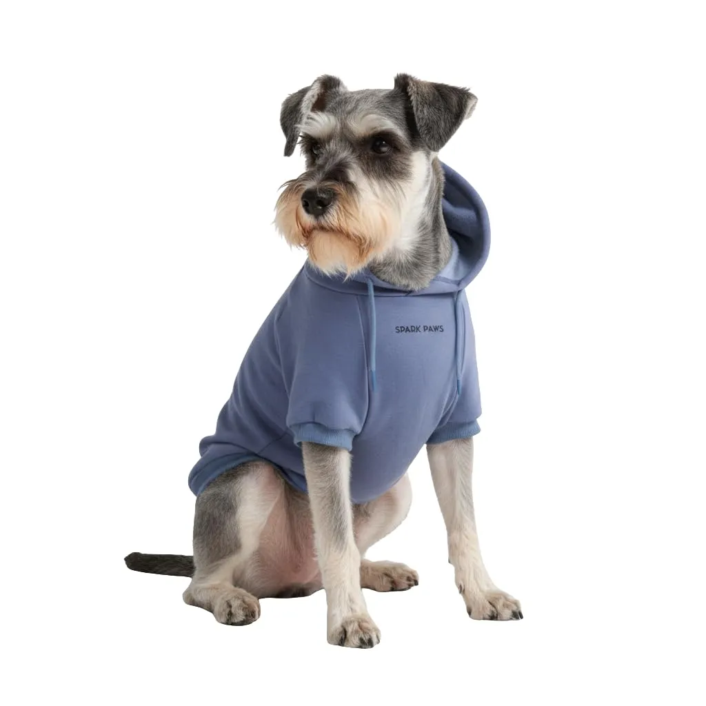 Spark Paws Felpa per Cani, Blu Ardesia, M - immagine 1