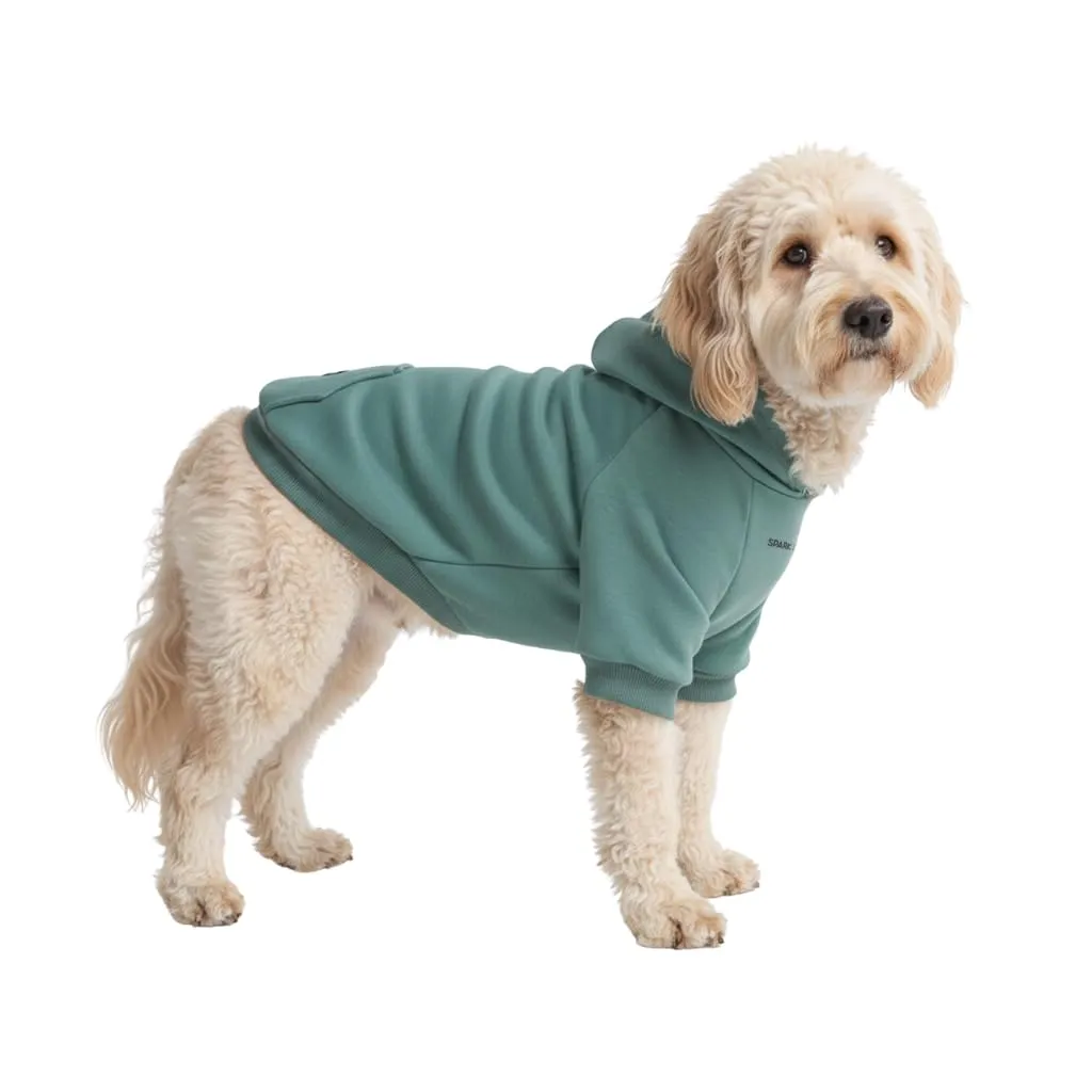 Spark Paws Felpa con cappuccio per cani XXL, Tinta unita, Verde acqua - immagine 1