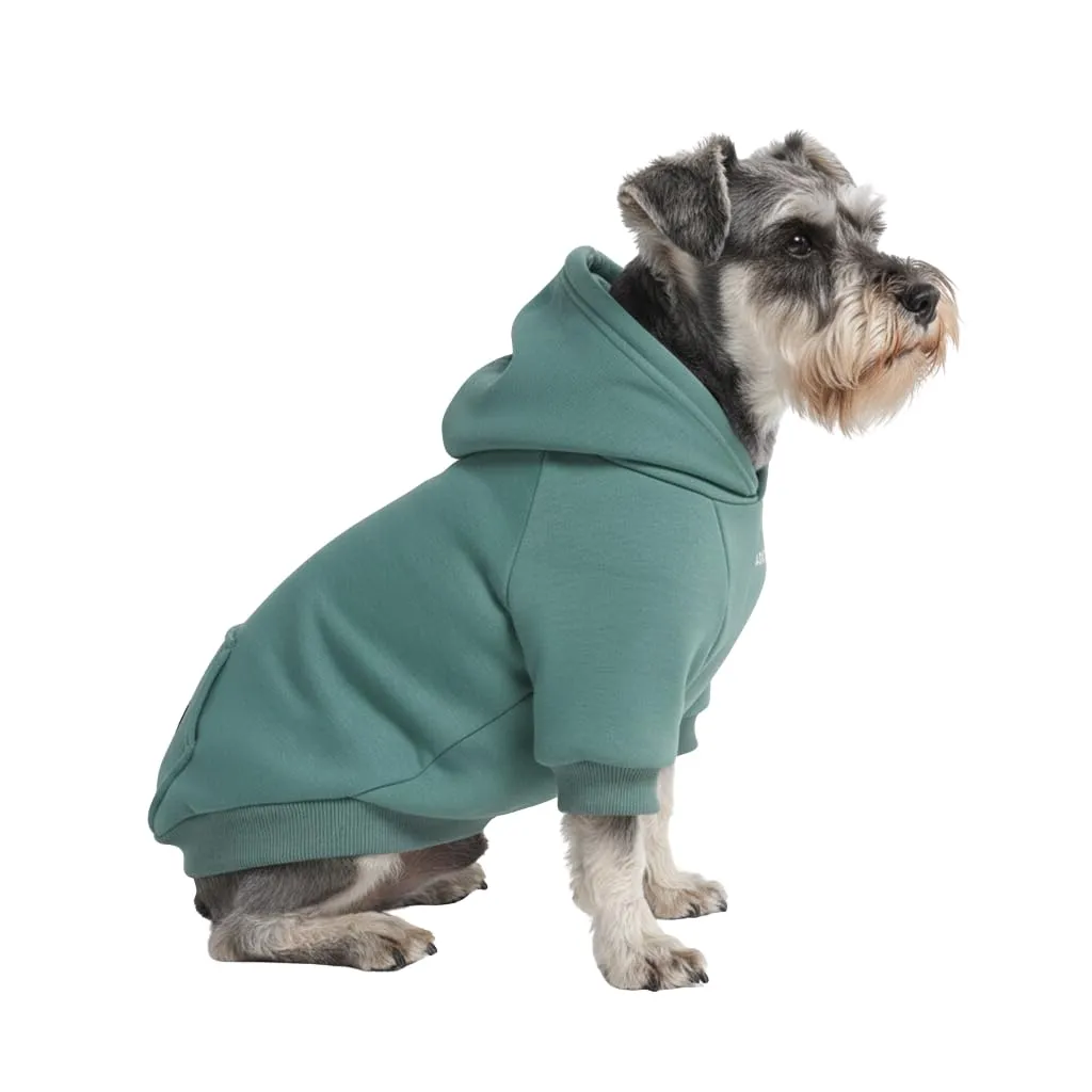 Spark Paws Felpa con cappuccio per cani, Taglia M, Verde acqua - immagine 1