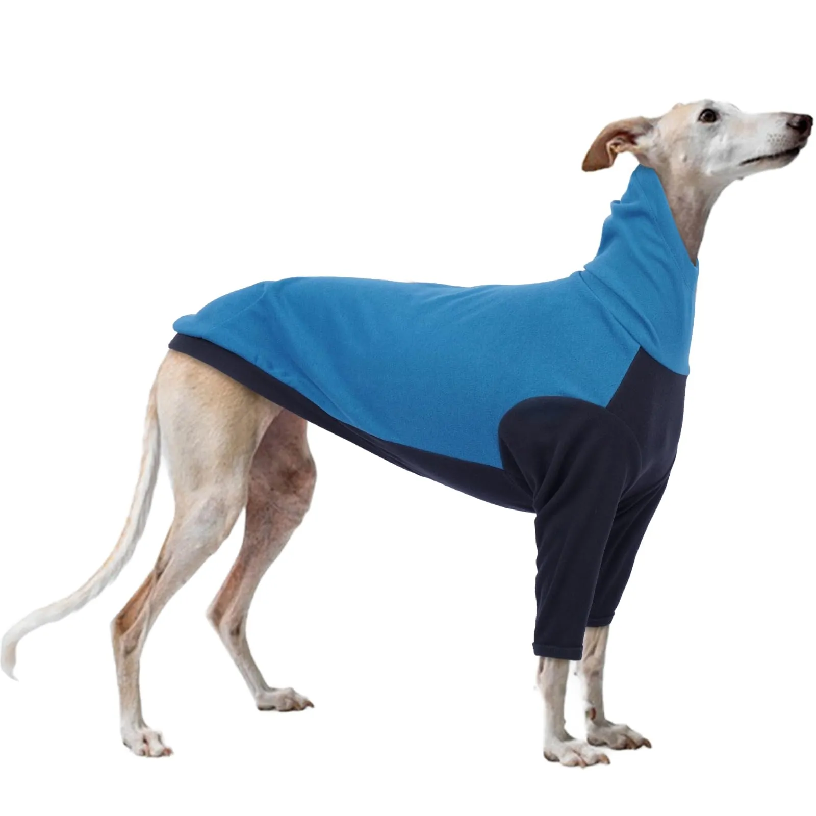 PUMYPOREITY Cappottino Felpa per Levriero Italiano e Whippet con Collo Alto, Blu, S - immagine 1