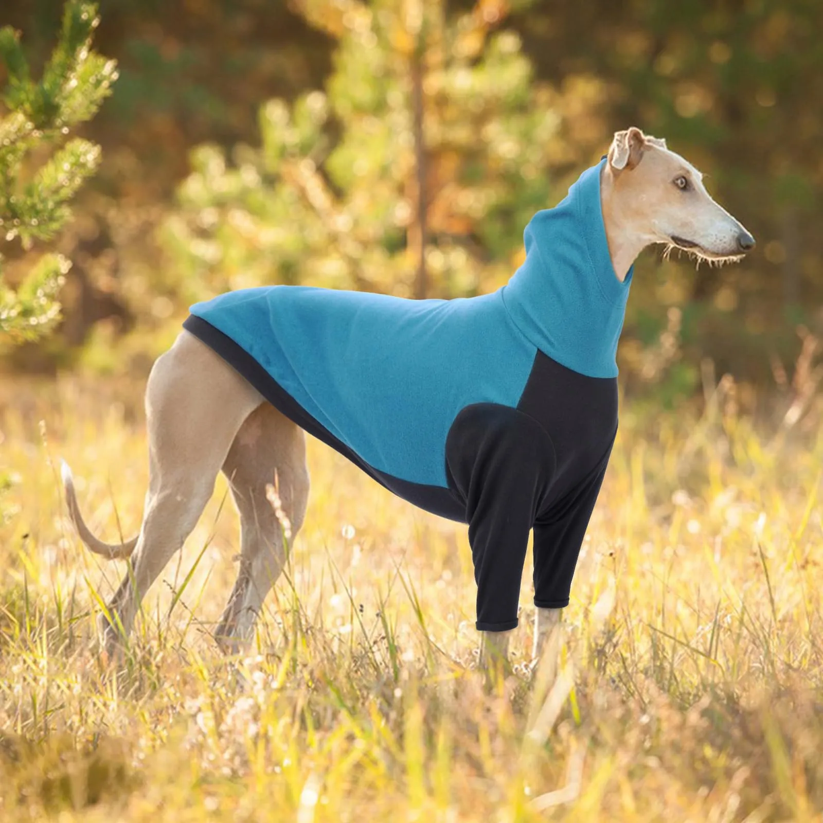 PUMYPOREITY Maglione Pullover Invernale per Levrieri, Whippet e Lurcher - Blu, M - immagine 6