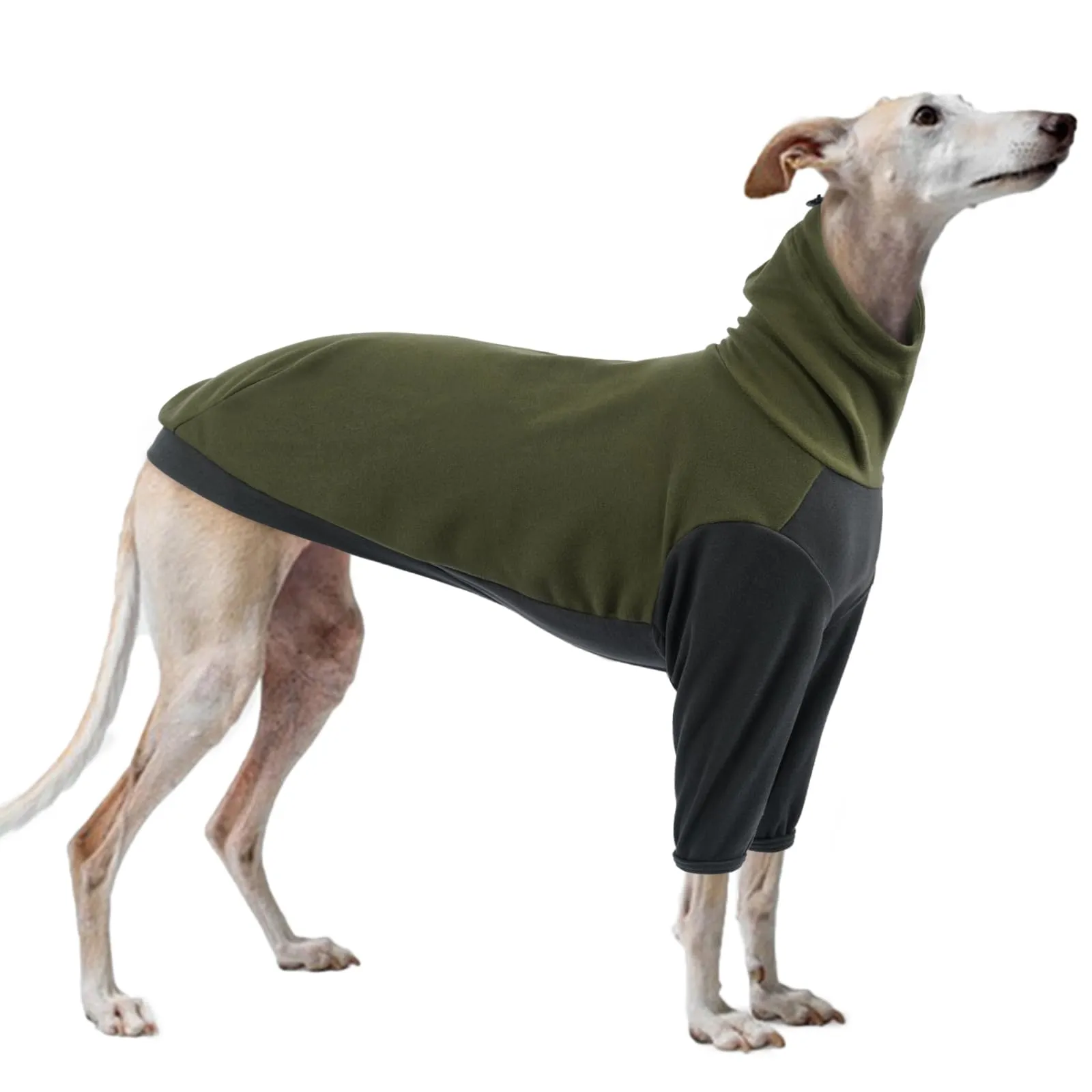 PUMYPOREITY Maglione Invernale con Scaldacollo per Levriero, Verde Militare, S - immagine 1
