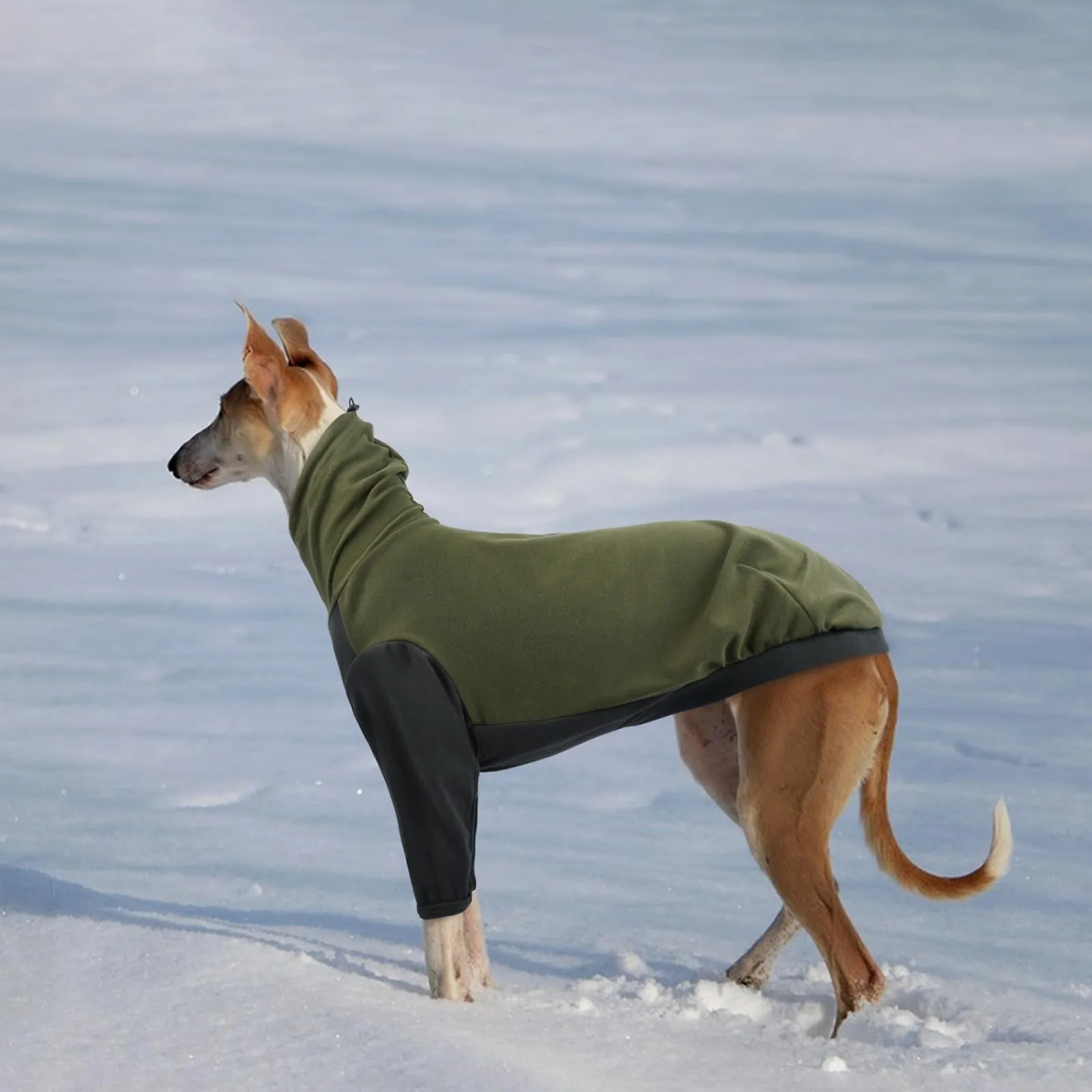 PUMYPOREITY Maglione in Pile per Levrieri, Greyhound, Saluki e Whippet, Verde militare, 3XL - immagine 5