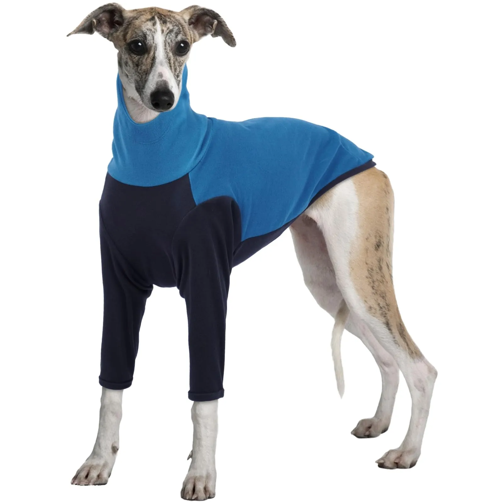 PUMYPOREITY Maglione Invernale per Levriero, Whippet e Greyhound - Blu, 2XL - immagine 1