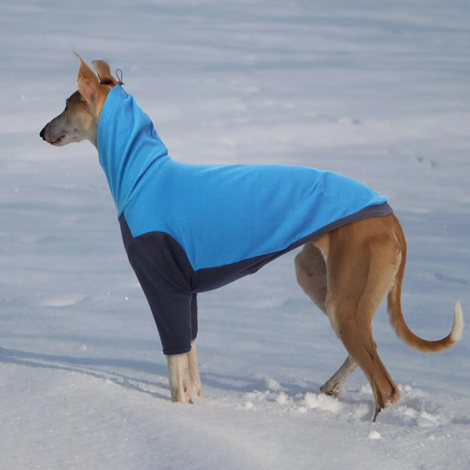 PUMYPOREITY Maglione Invernale per Levriero, Whippet e Greyhound - Blu, 2XL - immagine 5