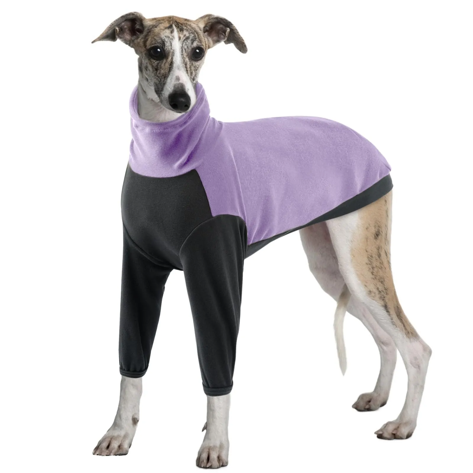PUMYPOREITY Maglione Pigiama Caldo per Levrieri, Viola, XL - immagine 1