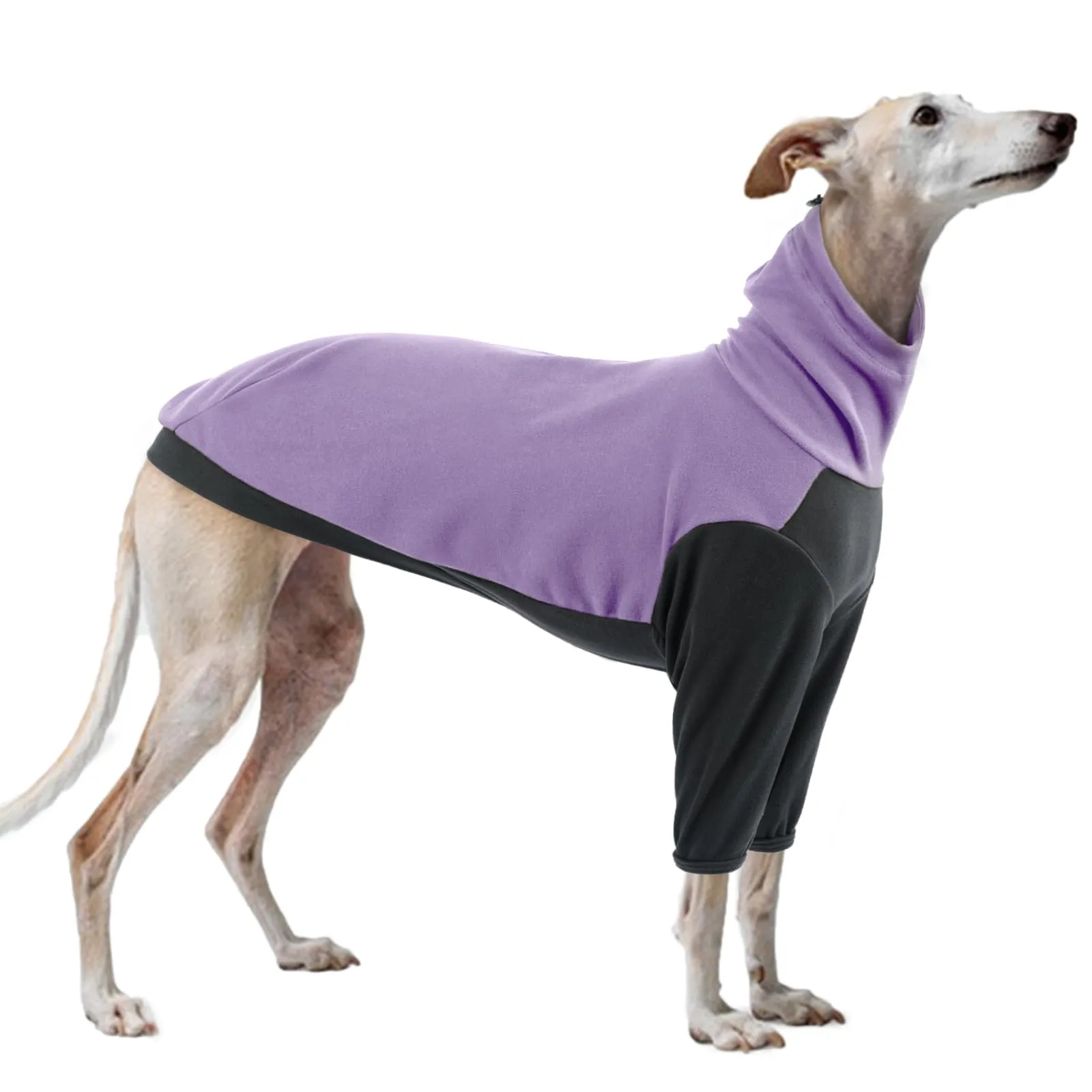 PUMYPOREITY Cappottino Felpa per Levriero Italiano, Whippet e Greyhound con Collo Alto, Viola, S - immagine 1
