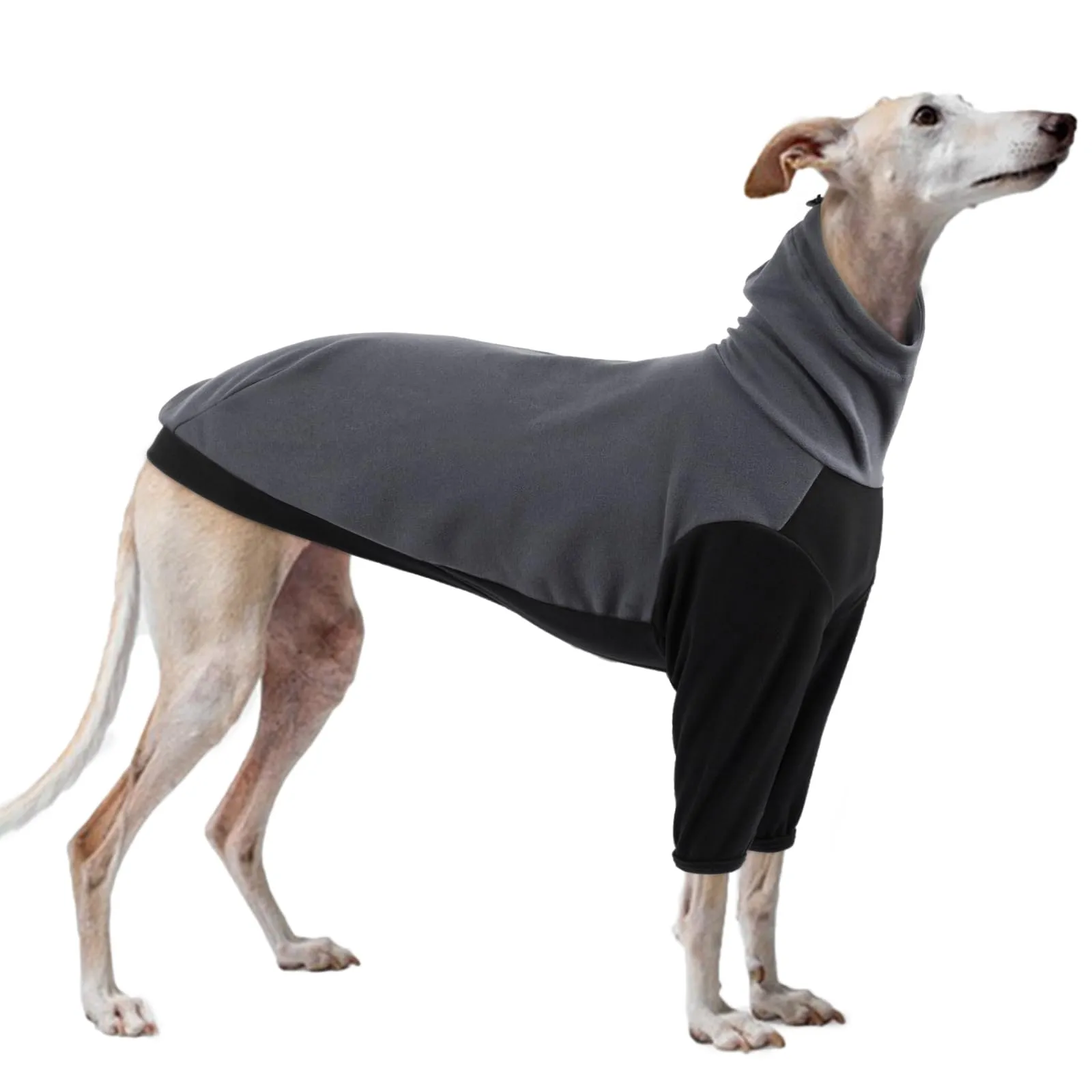 PUMYPOREITY Maglione invernale con scaldacollo per levriero, grigio, S - immagine 1