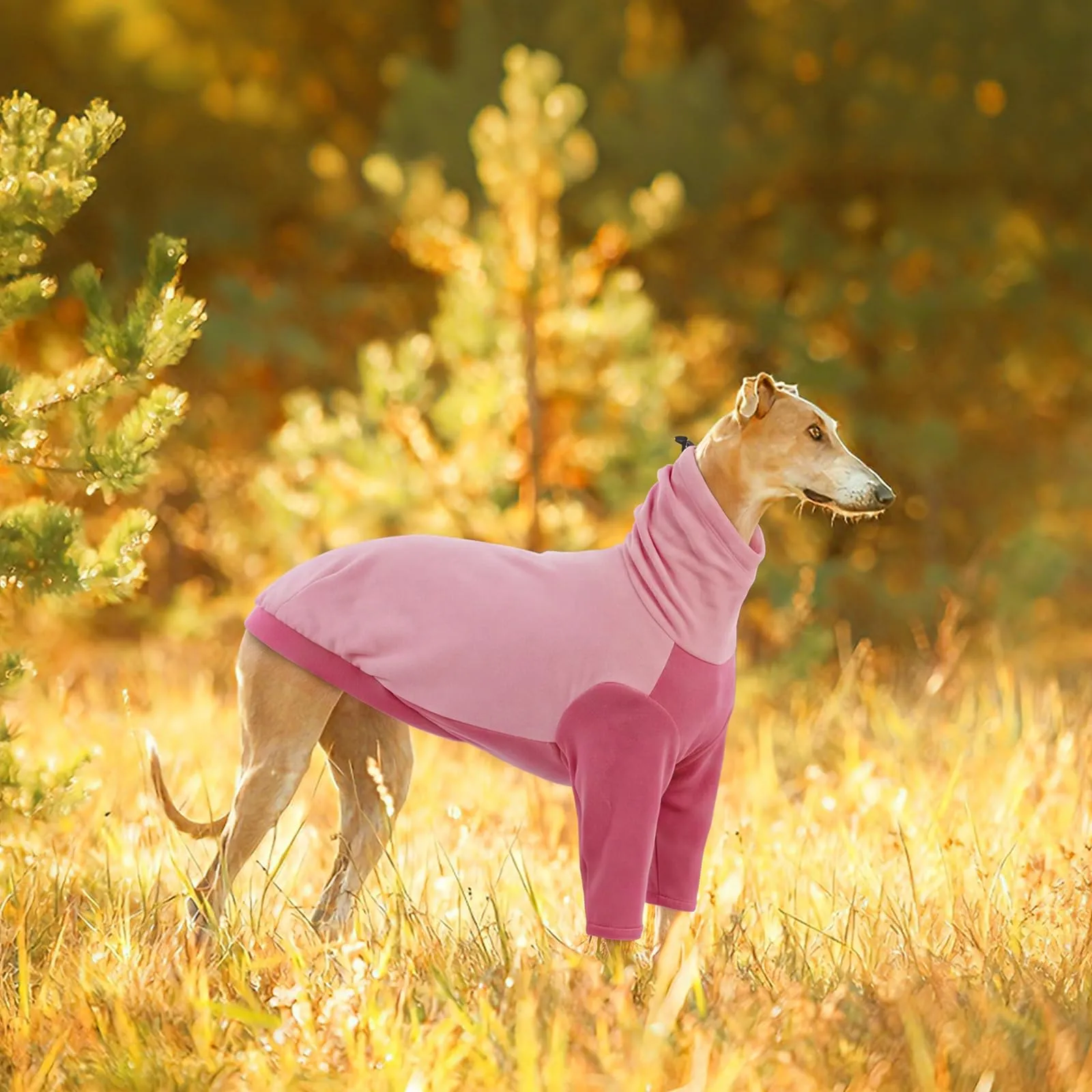 PUMYPOREITY Maglione in pile per levrieri, rosa, 2XL - immagine 6