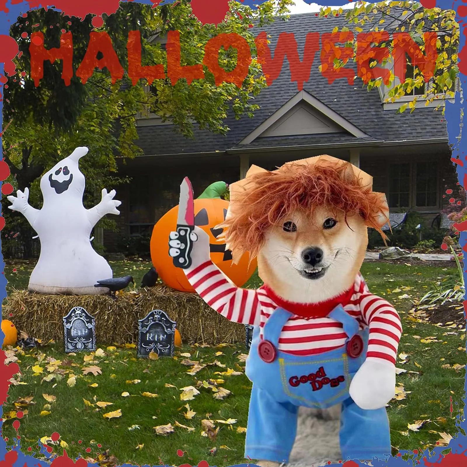 FAINCA Costume di Halloween per Cani - immagine 6
