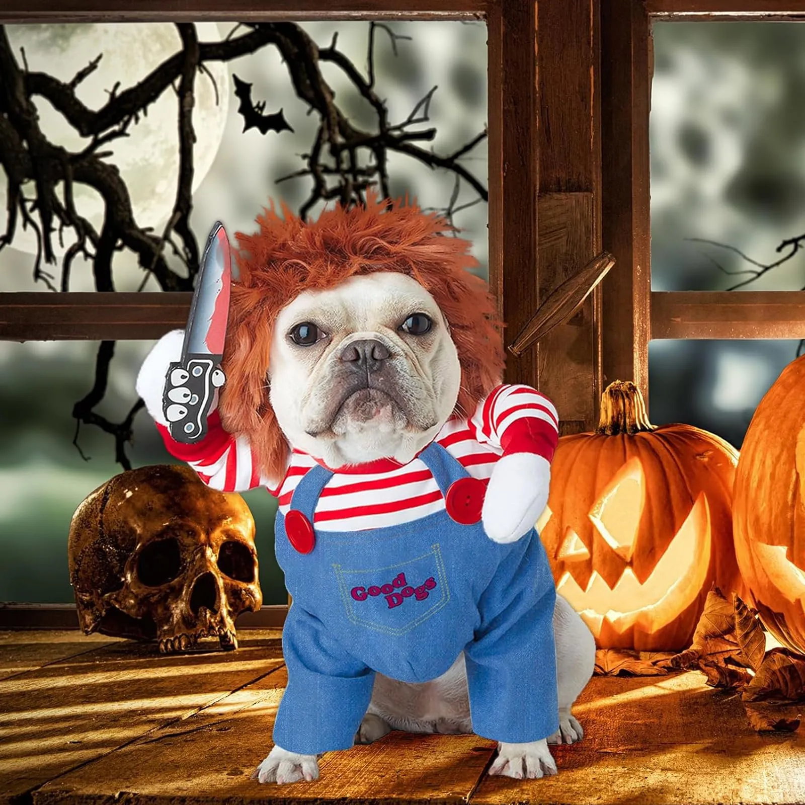FAINCA Costume di Halloween per Cani - immagine 7